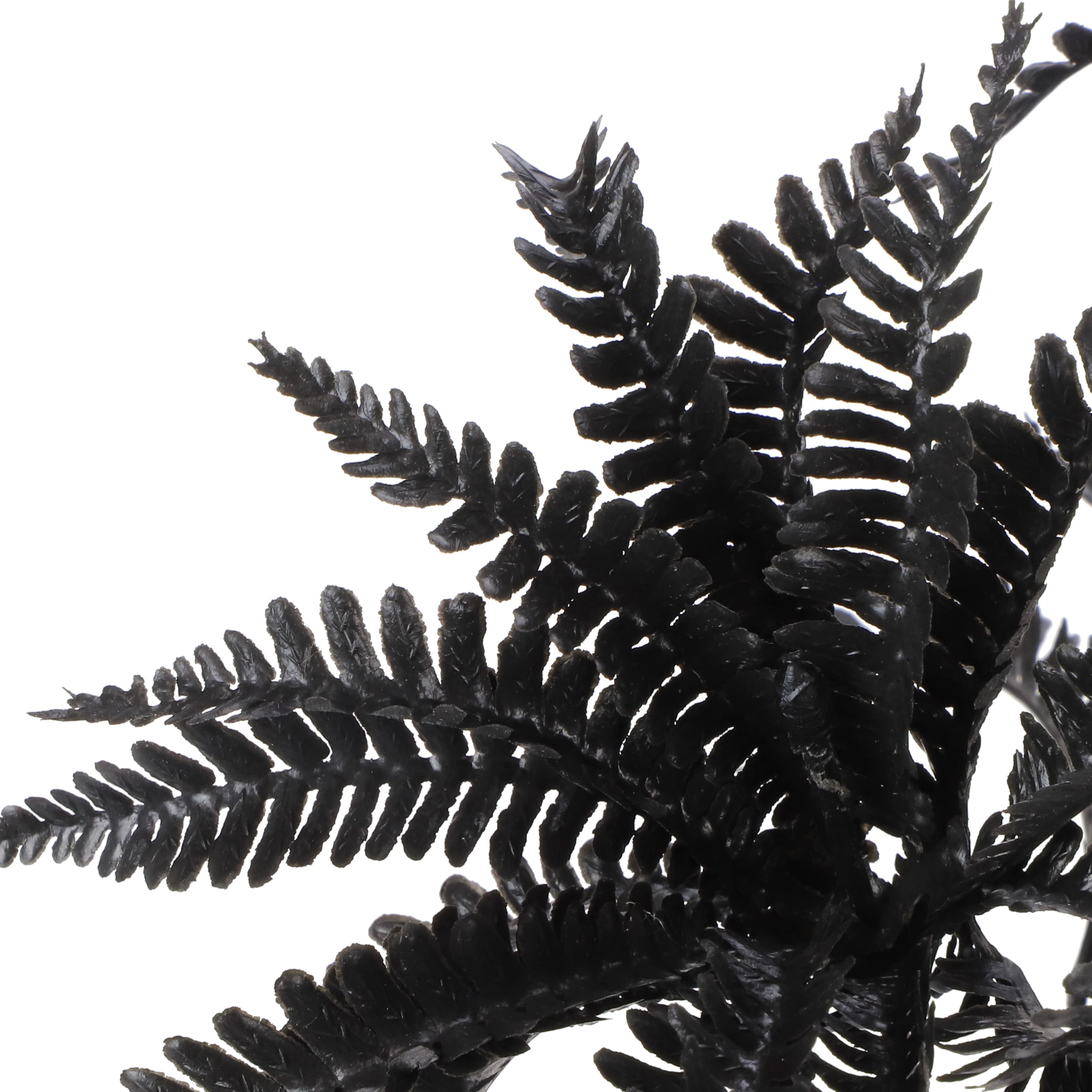 9" Black Fern Real Touch Pick by Ashland®