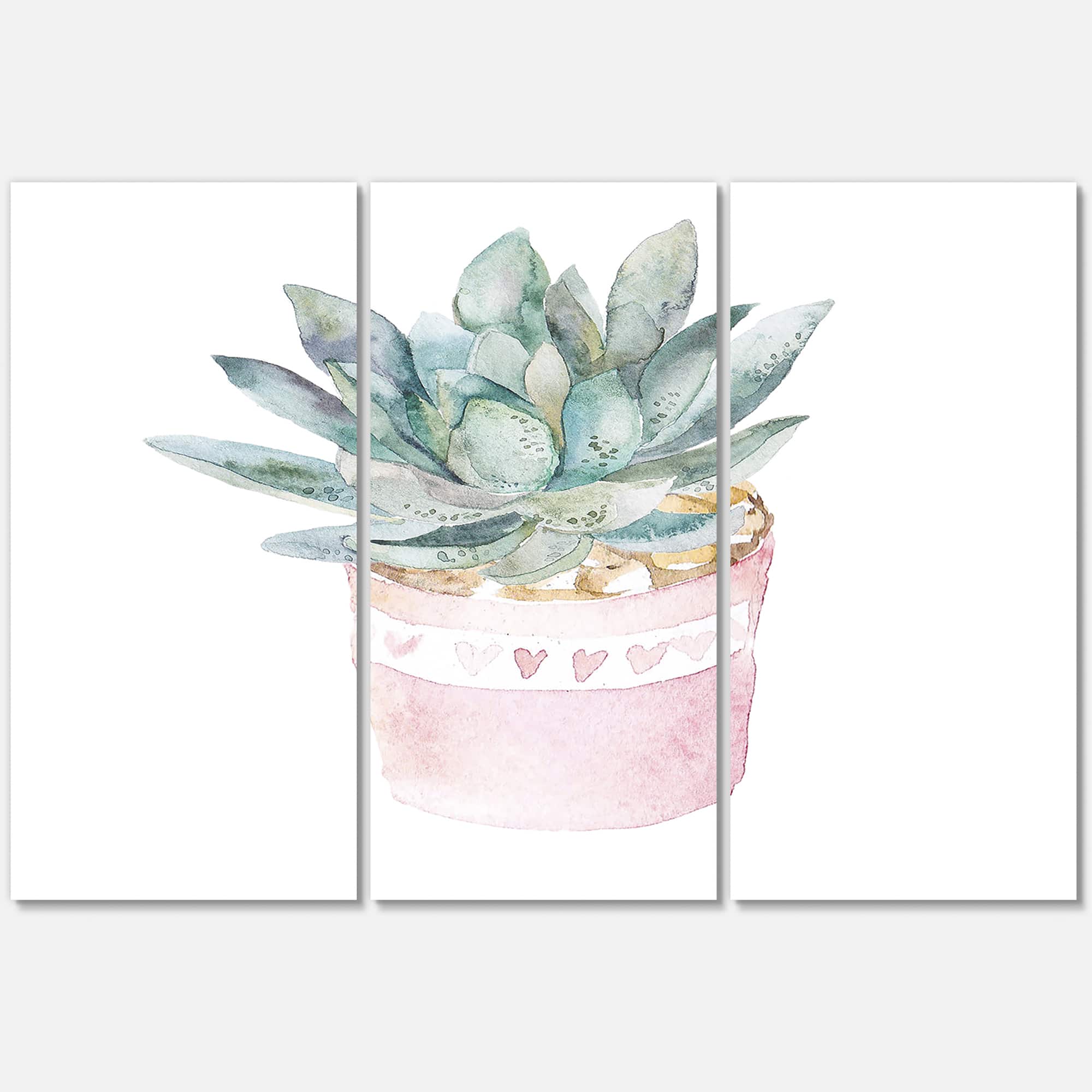 Designart - Cactus and Succulent House Plants II