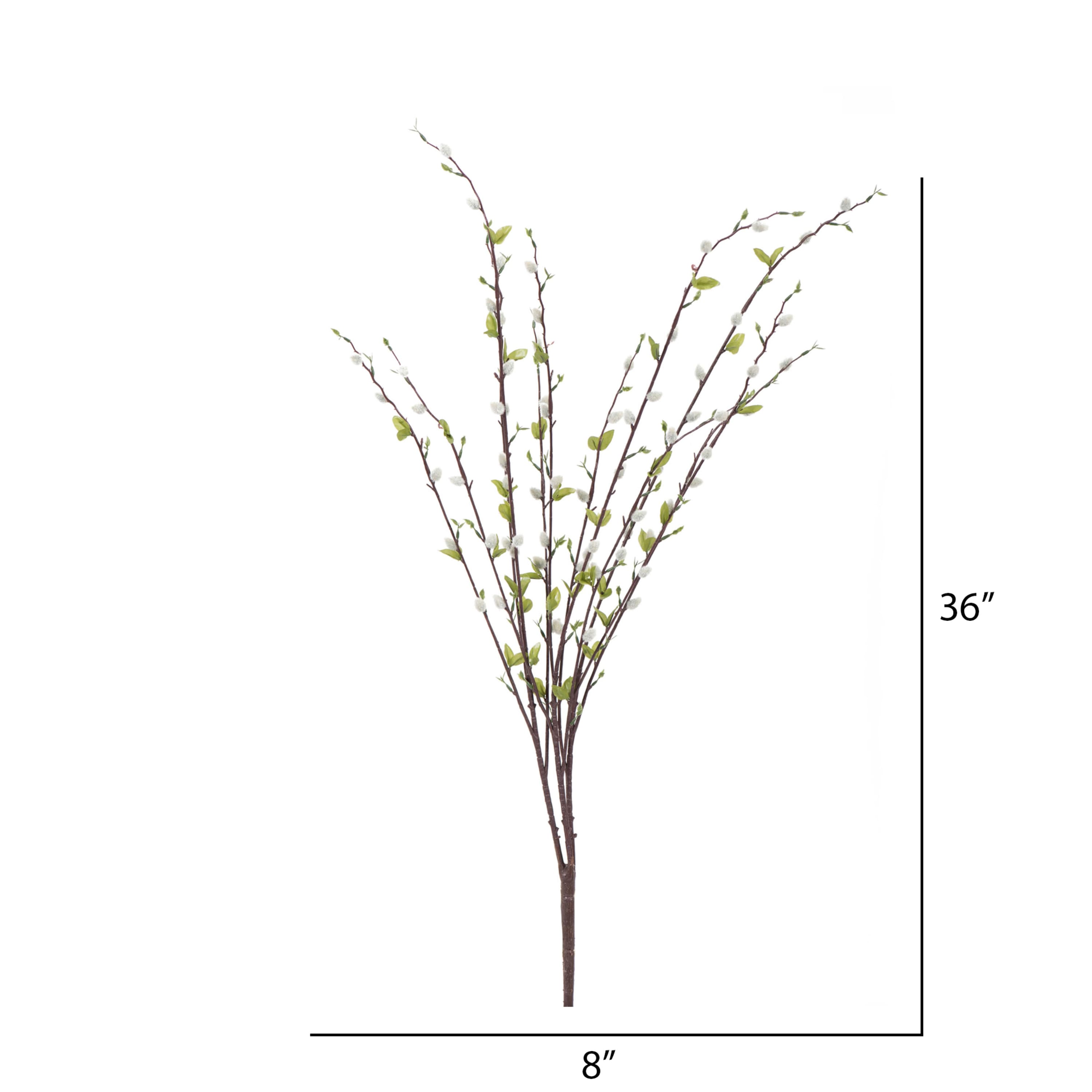 Gray Willow Bush