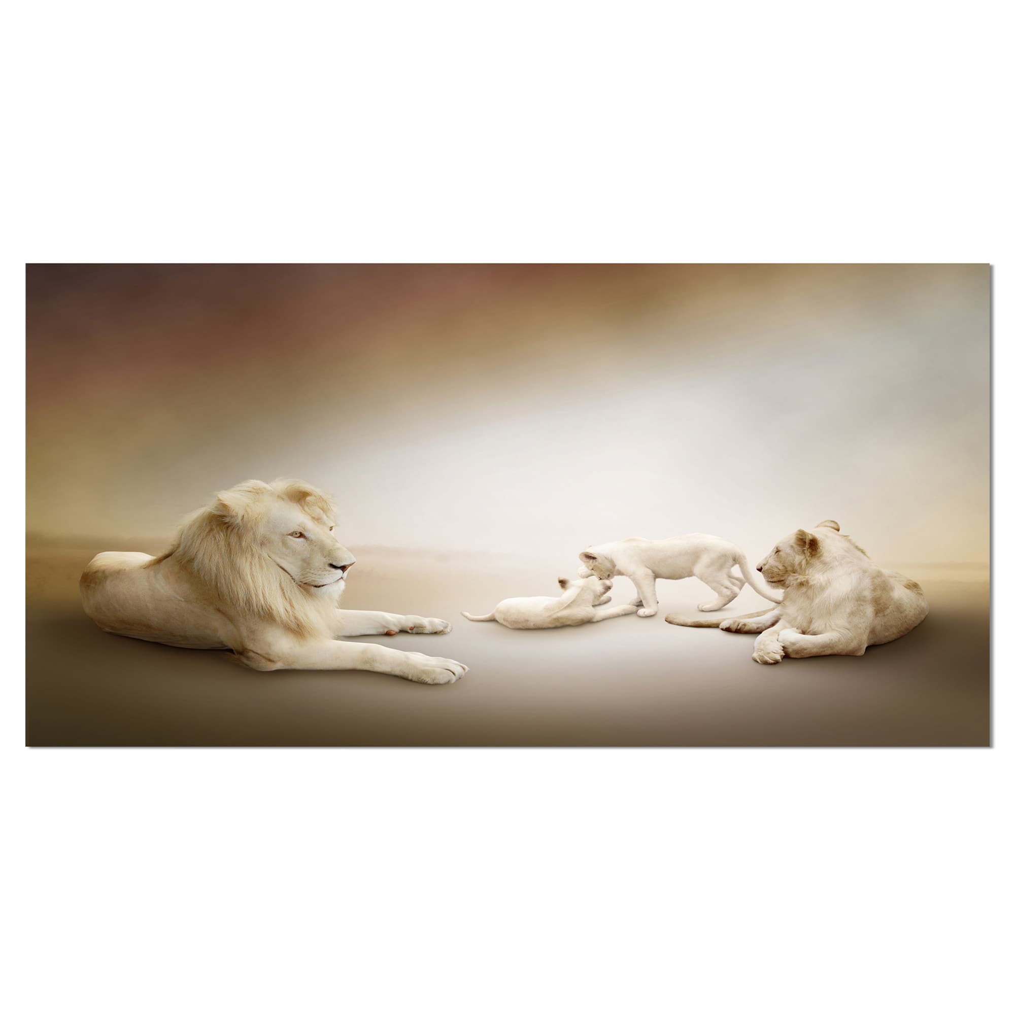 Designart - White Lion Family - Animal Canvas Wall Art