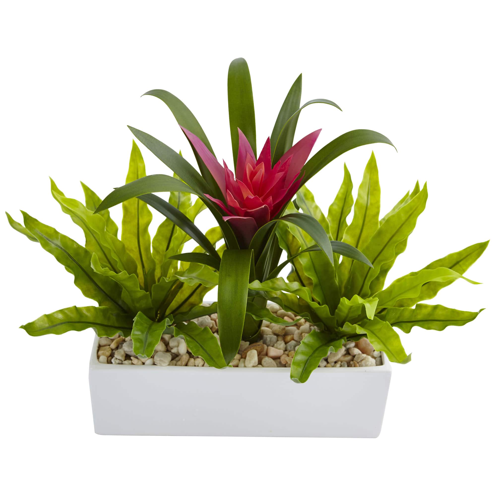14" Bromeliad & Birds Nest Arrangement in Rectangular Planter