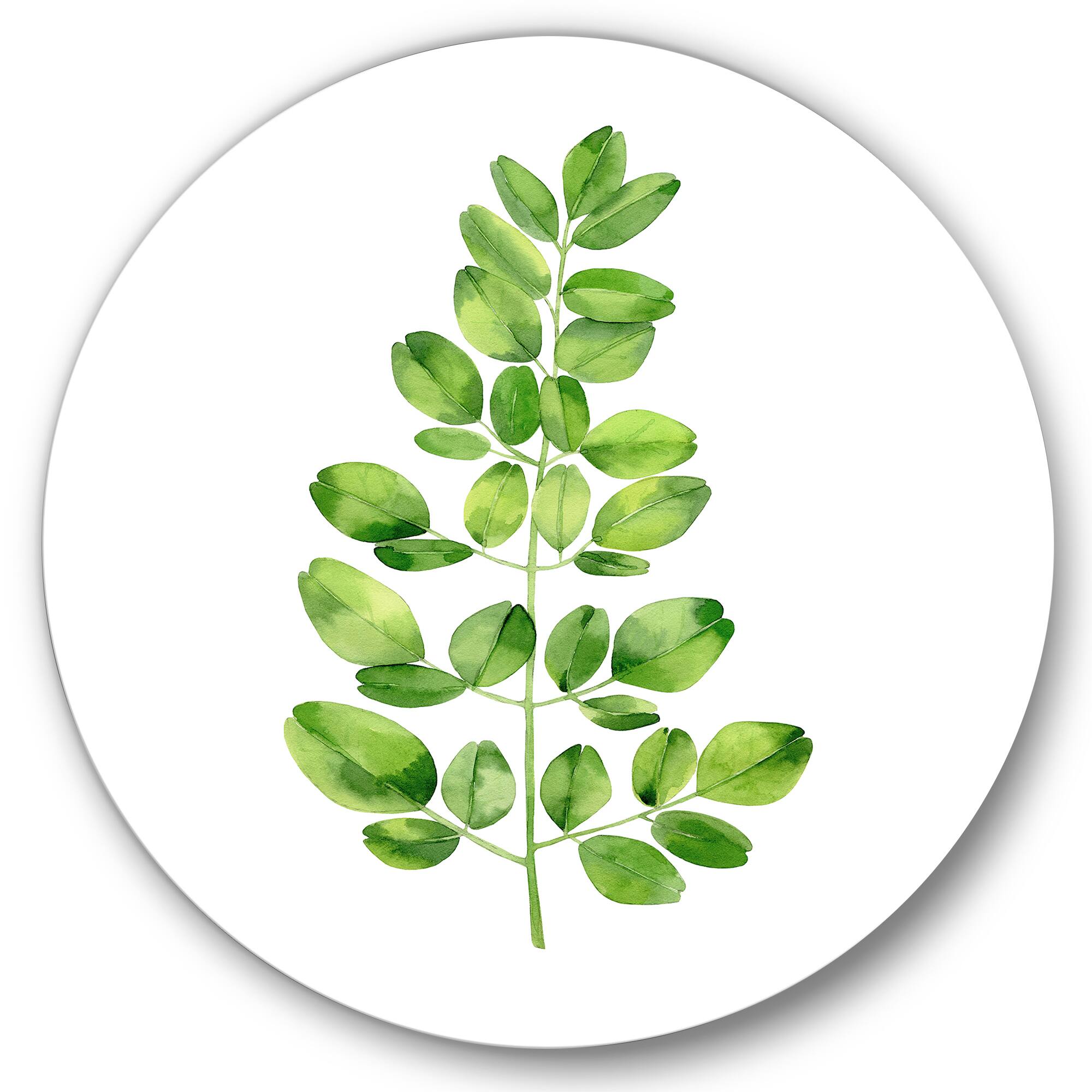 Designart - Moringa Branch Tropical Tree Foliage - Farmhouse Metal Circle Wall Art