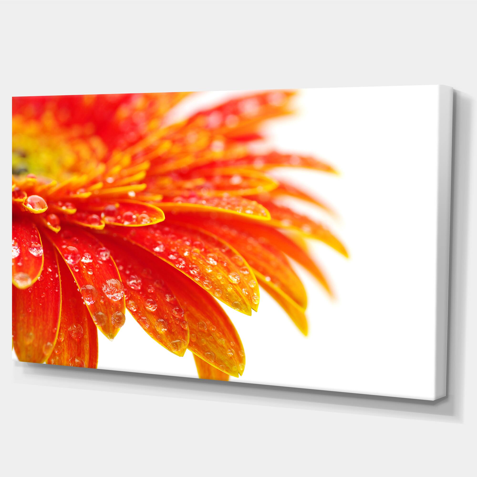 Designart - Orange Gerbera with Raindrops - Floral Canvas Art Print