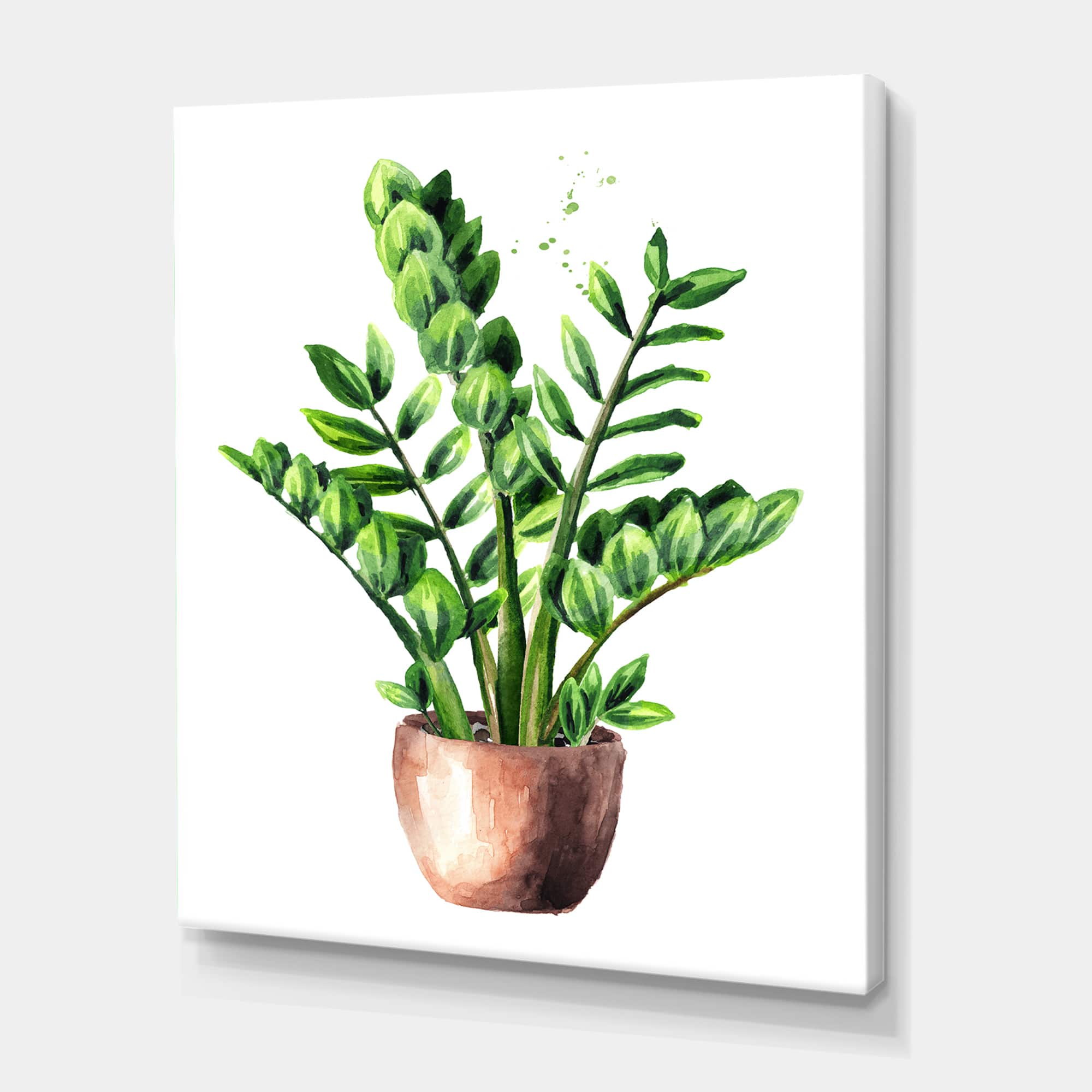 Designart - Zamioculcas Tropical Plant With Green Leaves - Traditional Canvas Wall Art Print