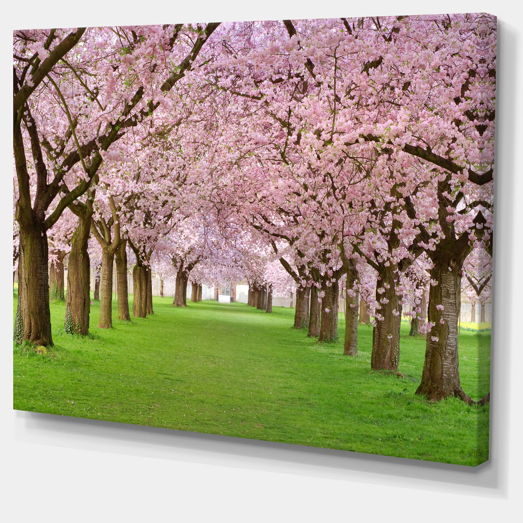 Designart - Stunning Cherry Blossoms Plenitude - Landscape Canvas Art Print