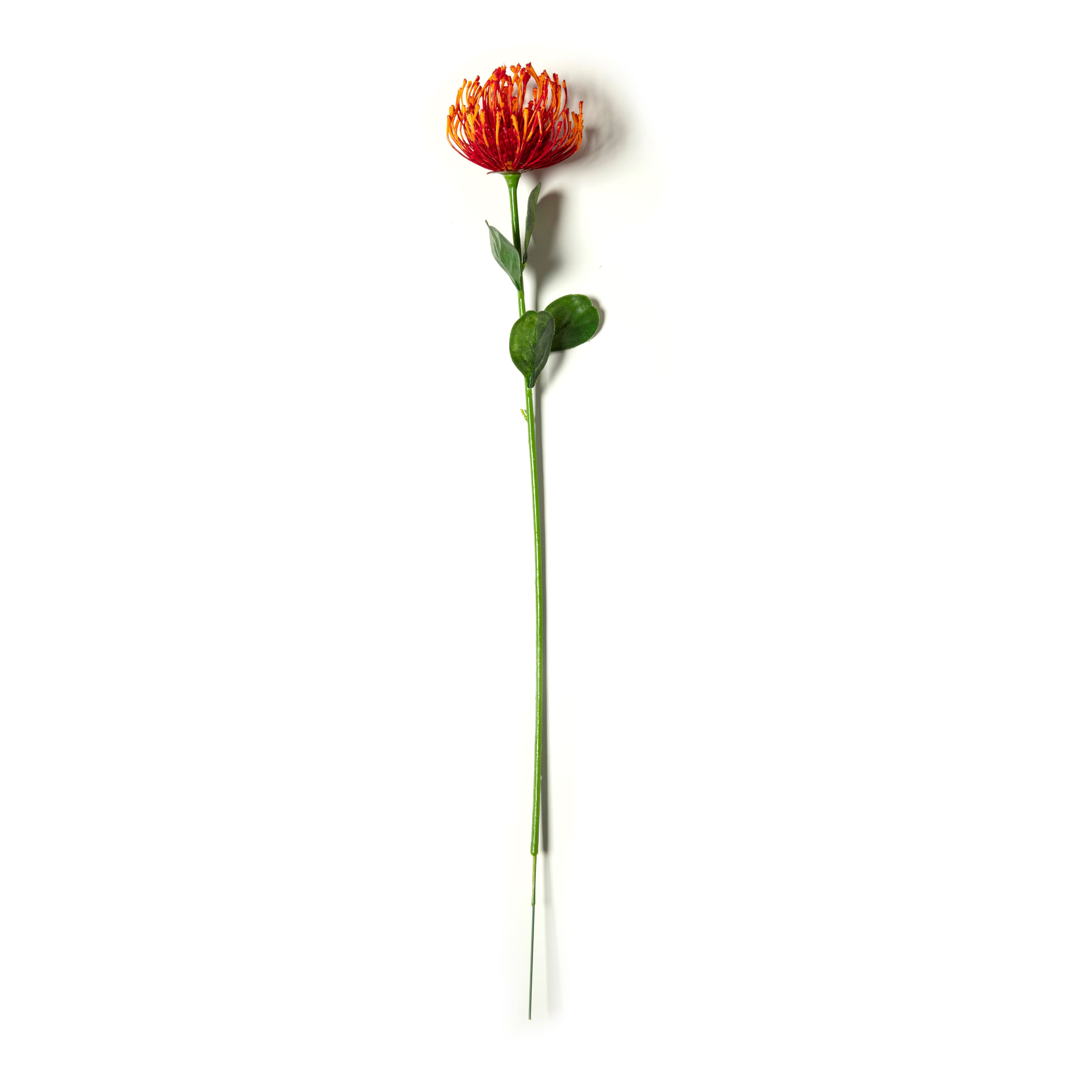 Tropical Needle Protea Spray by Ashland®