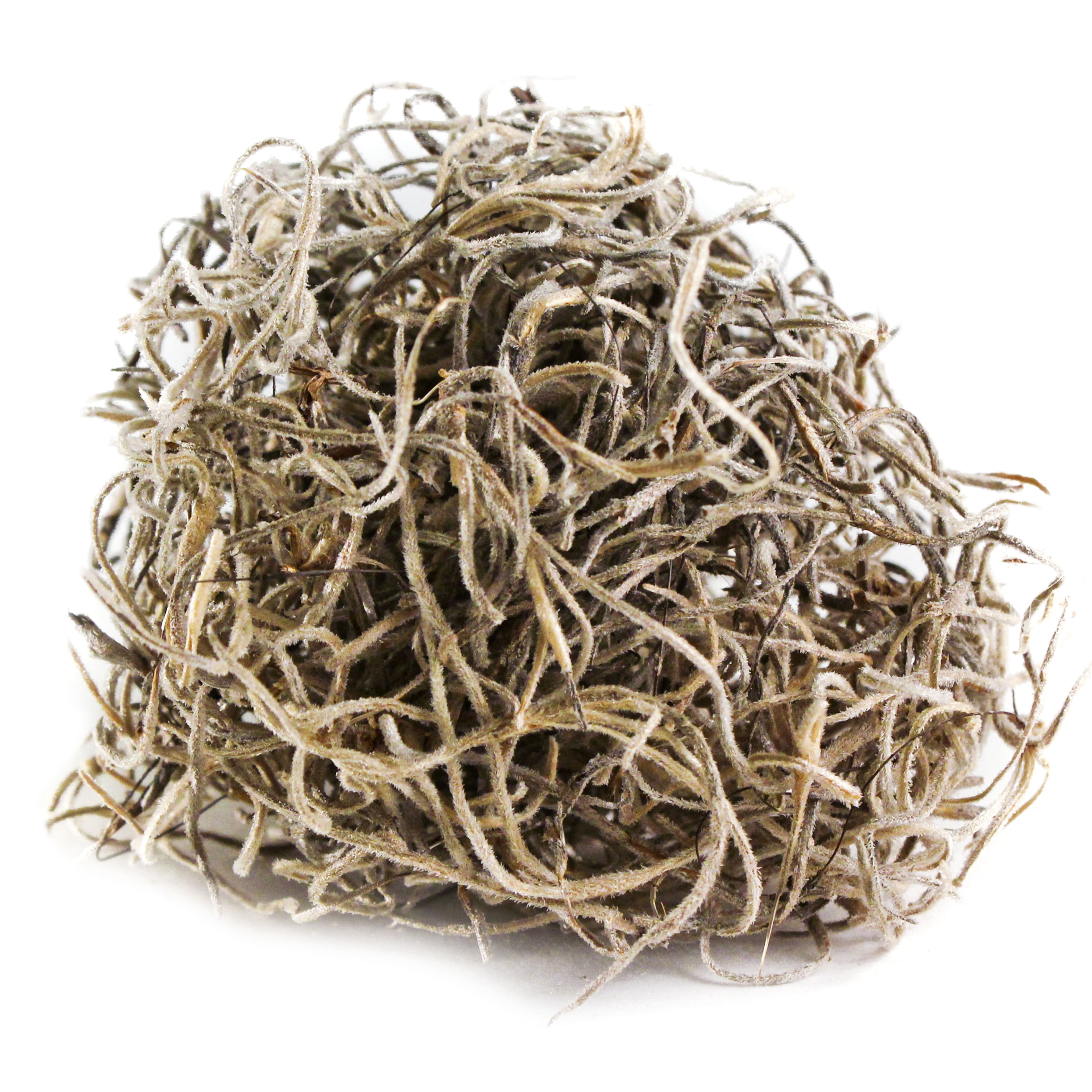 16 Pack: Natural Spanish Moss by Ashland®