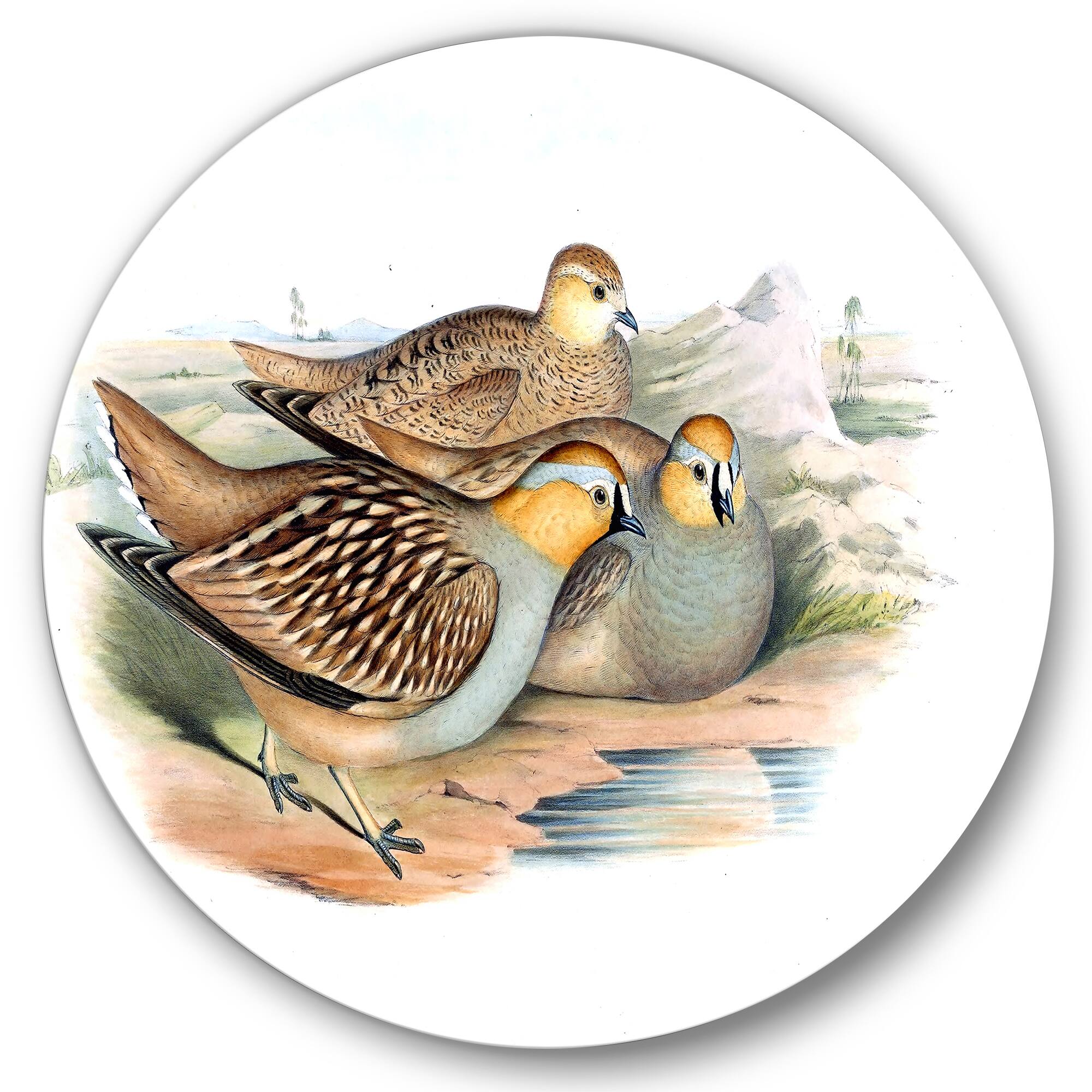 Designart - Vintage Birds In The Wild III