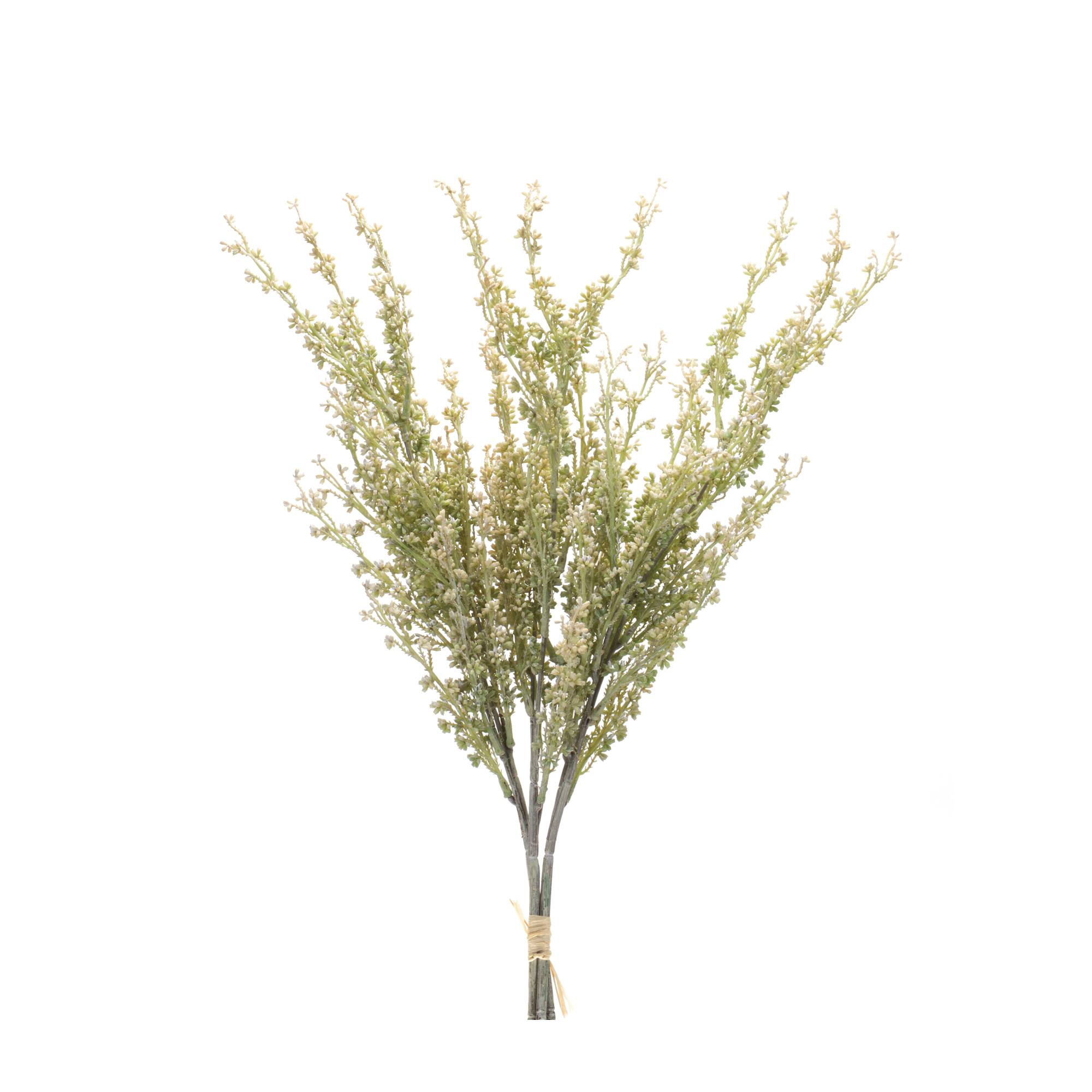 24.25" Mini Seed Pod Bundles, 2ct.