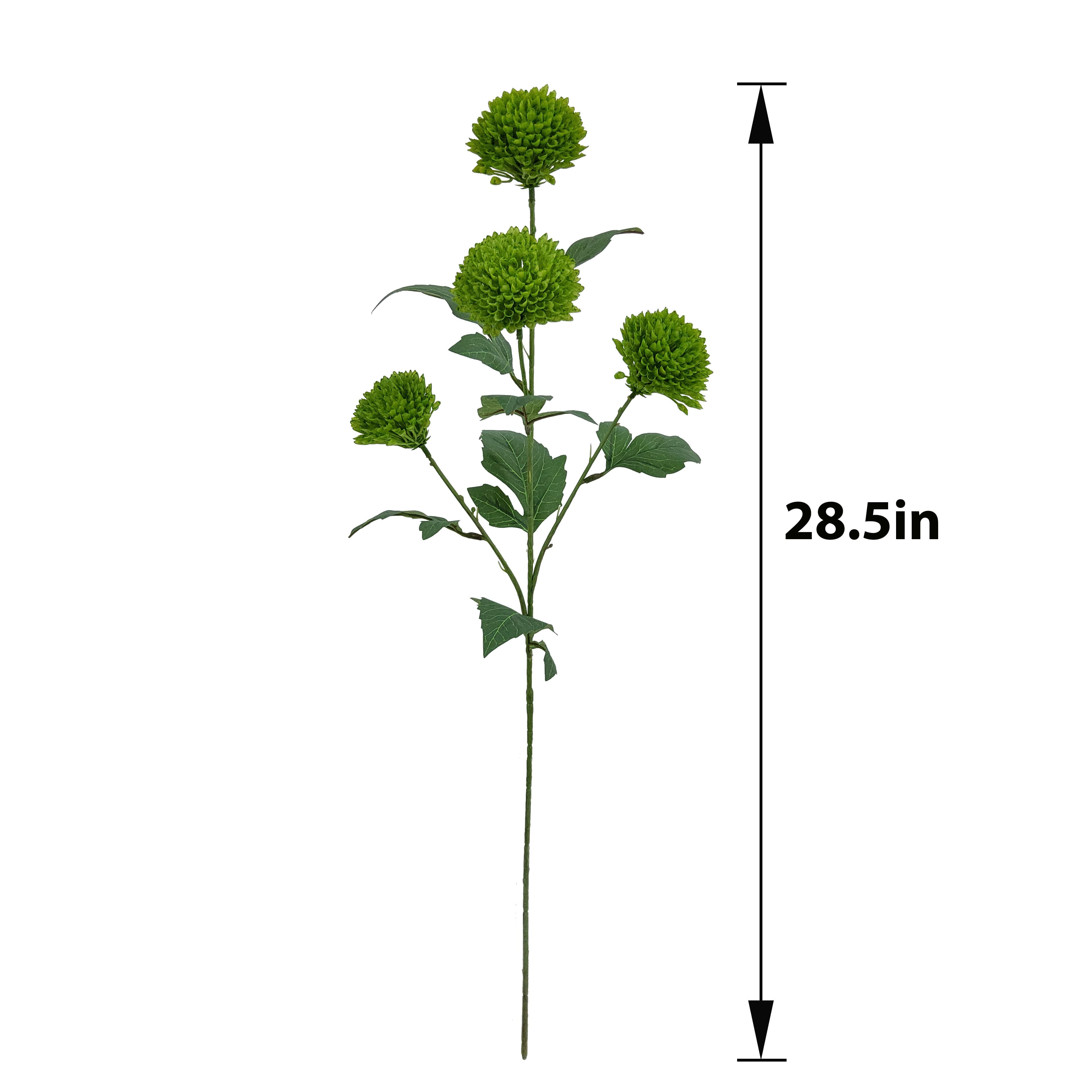 28.5" Green Pom Pom Mum Stem by Ashland®