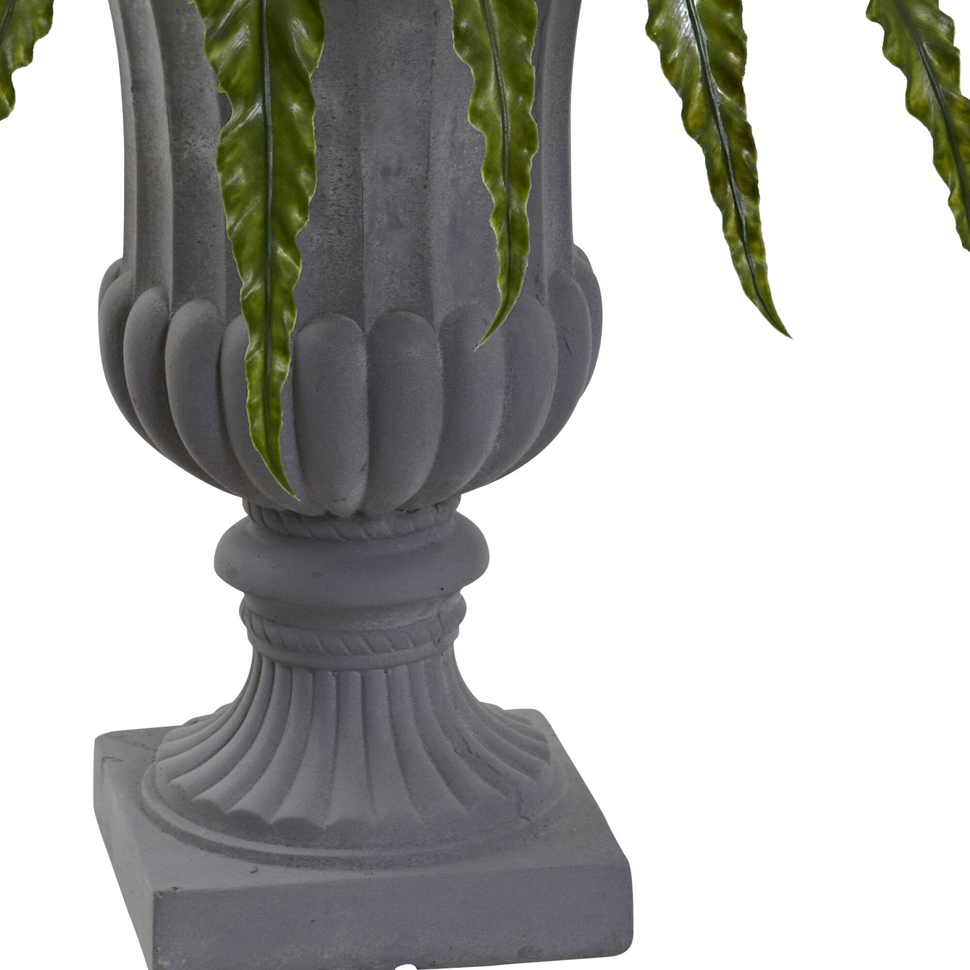 2.5ft. Birdsnest Fern with Urn