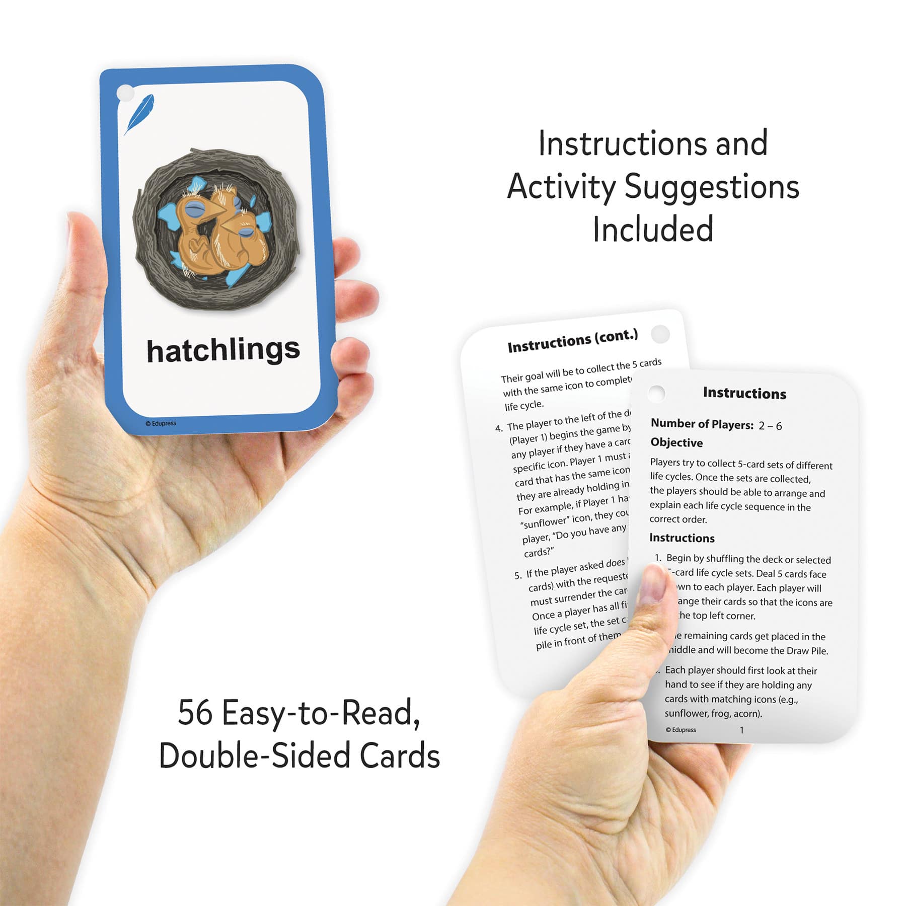 Edupress™ Go Fish Life Cycles Flash Cards, 6 Packs of 58