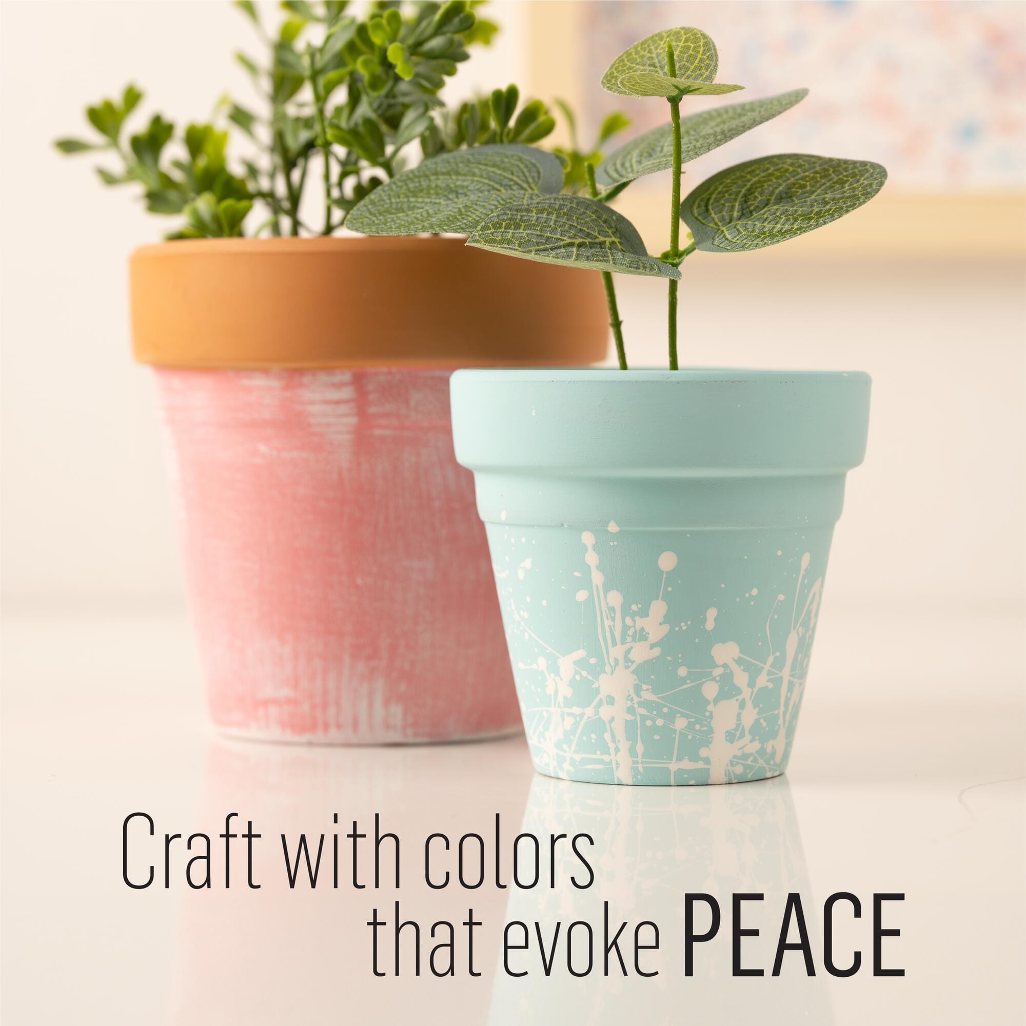 FolkArt® Mindful Peaceful Paint Kit
