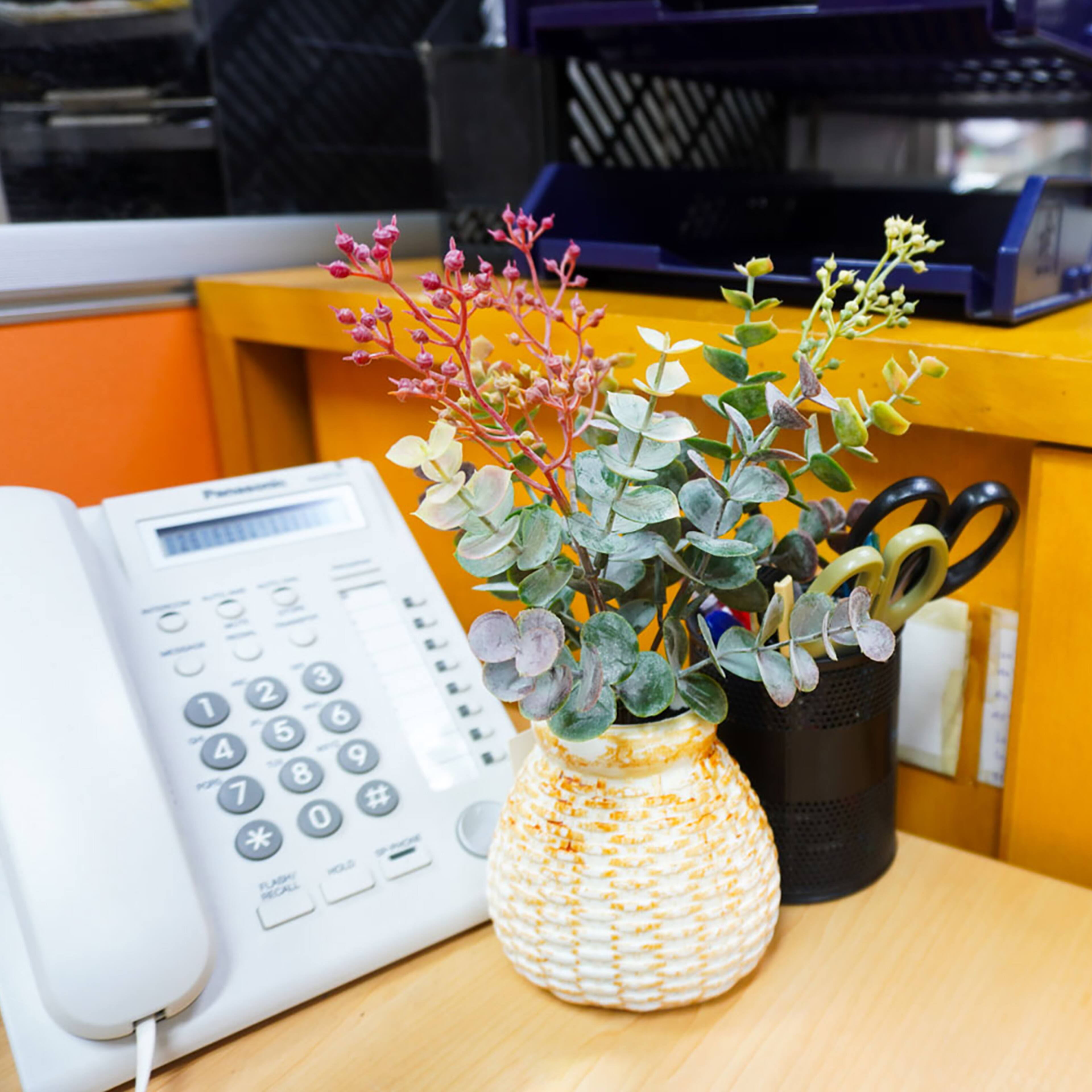 12 Pack: Green Seeded Eucalyptus Pick by Ashland®