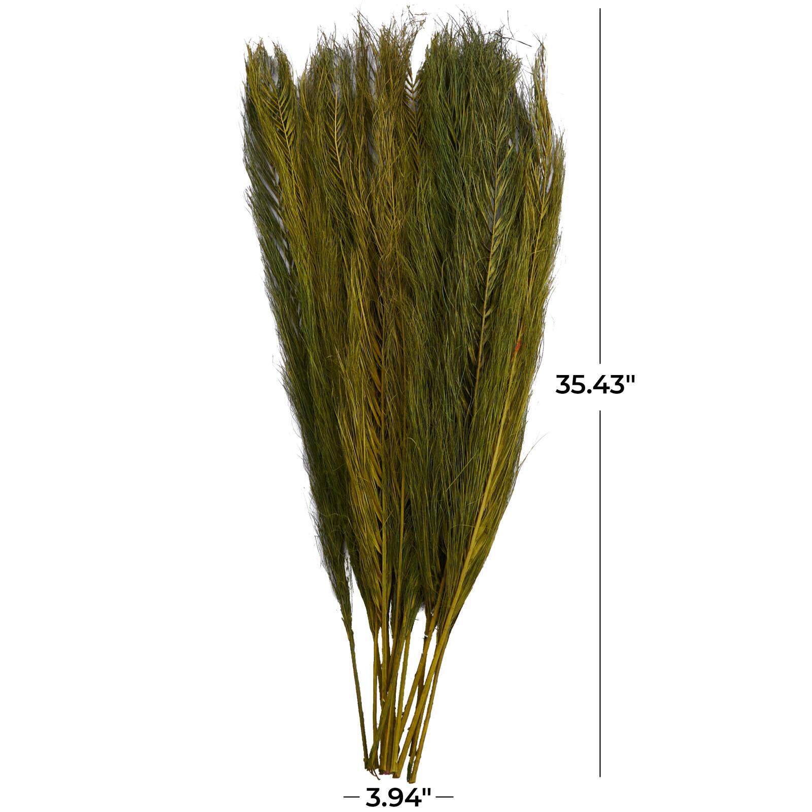35" Natural Dried Palm Leaf Bundle with Feather-Inspired Stems