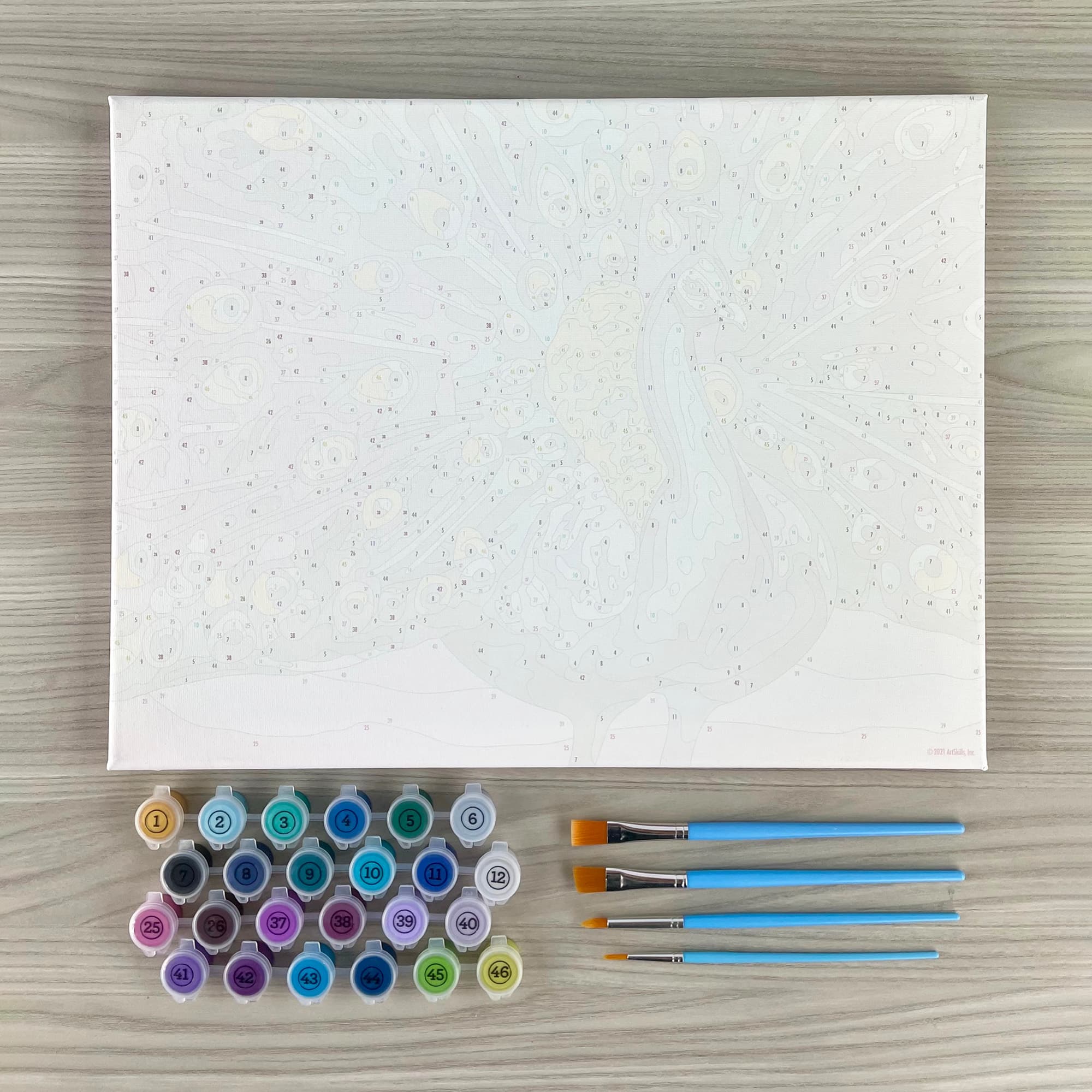 ArtSkills® Premium Peacock Paint-by-Number Kit
