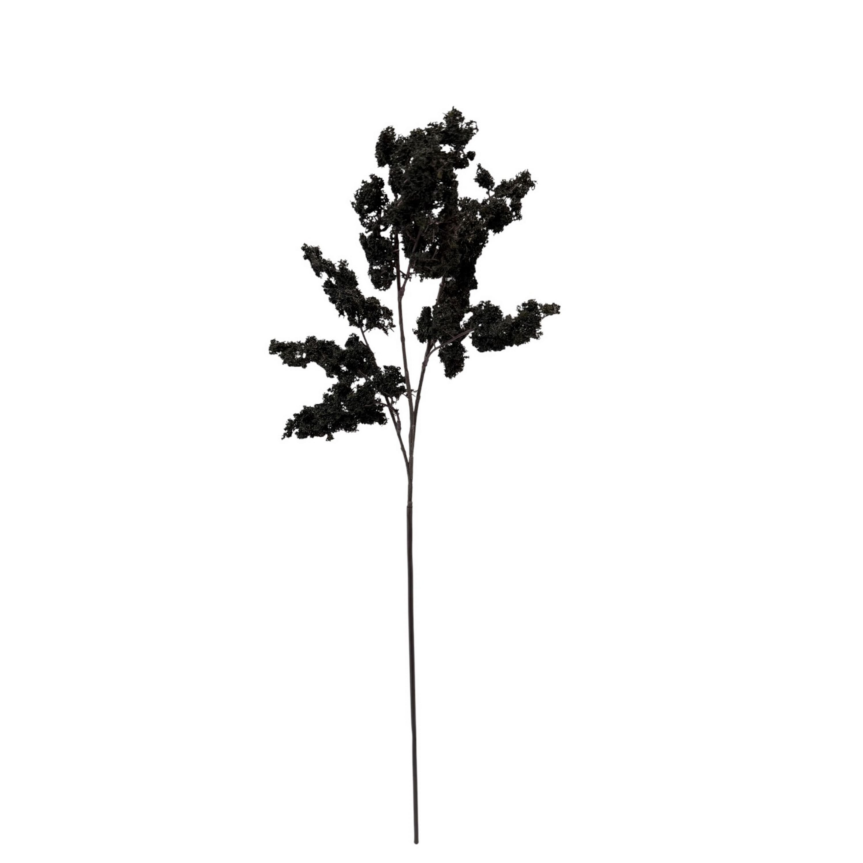 29" Black Moss Stem by Ashland®