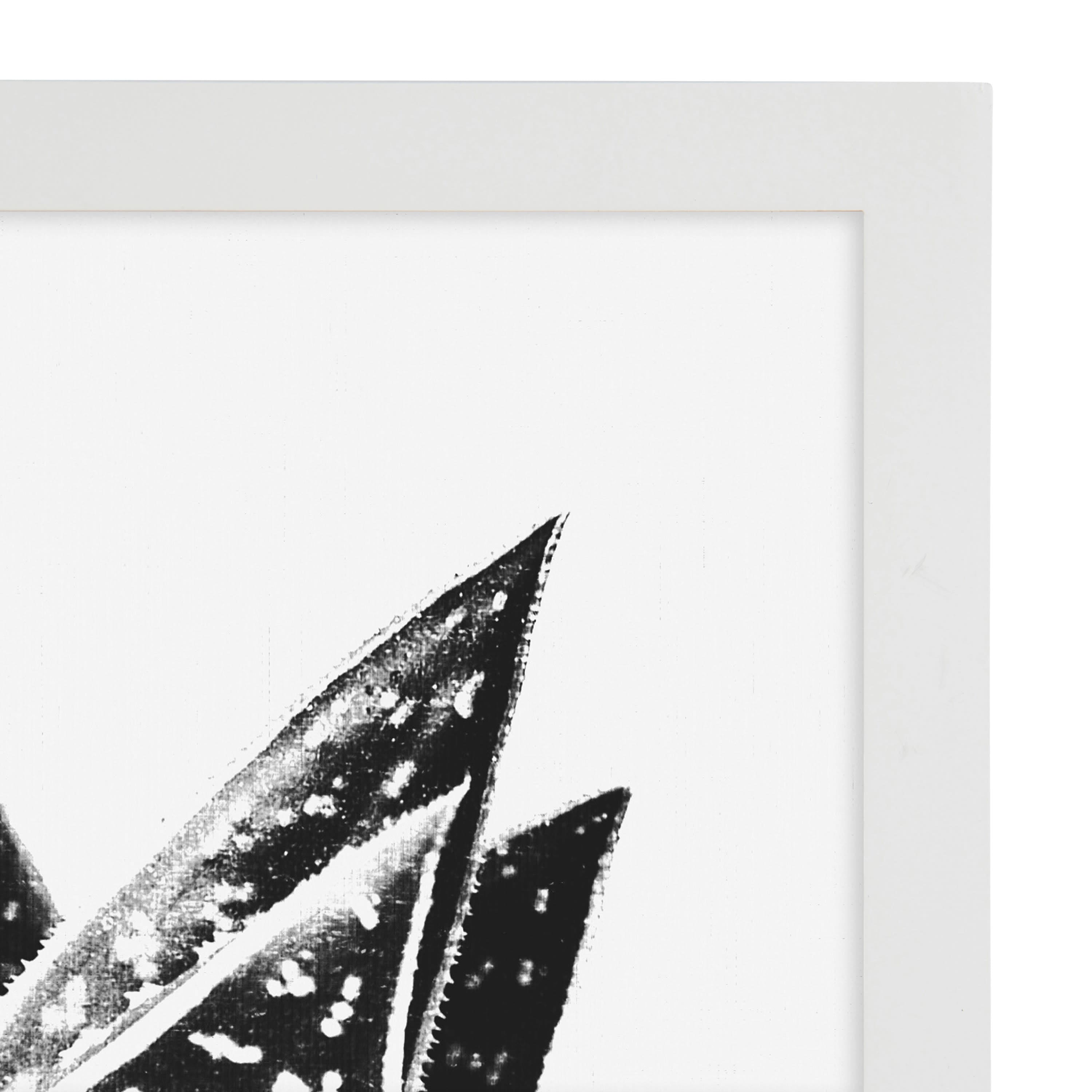 Kate and Laurel 12" x 18" White Gallery MDF Picture Frames with 11" x 17" Mat, 4ct.