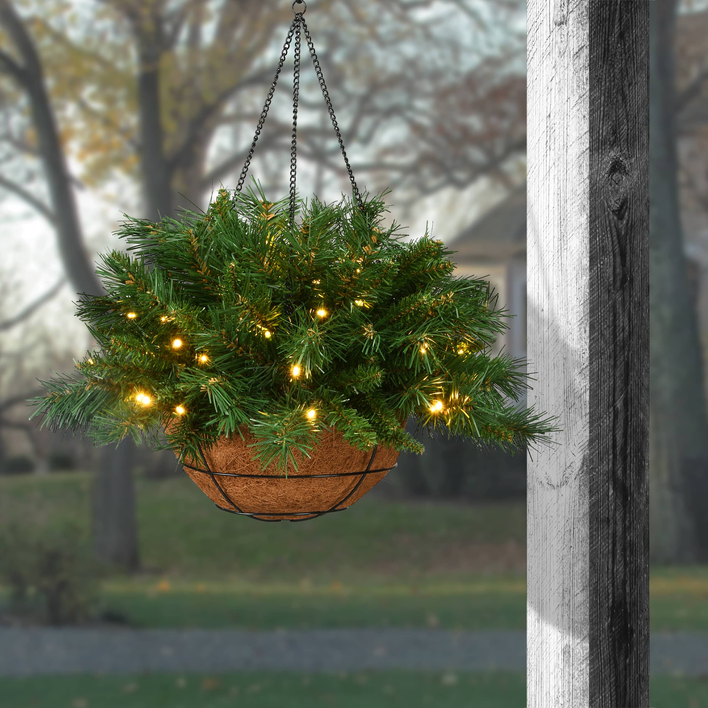 20" Tiffany Fir Hanging Basket With Warm White LED Battery Lights