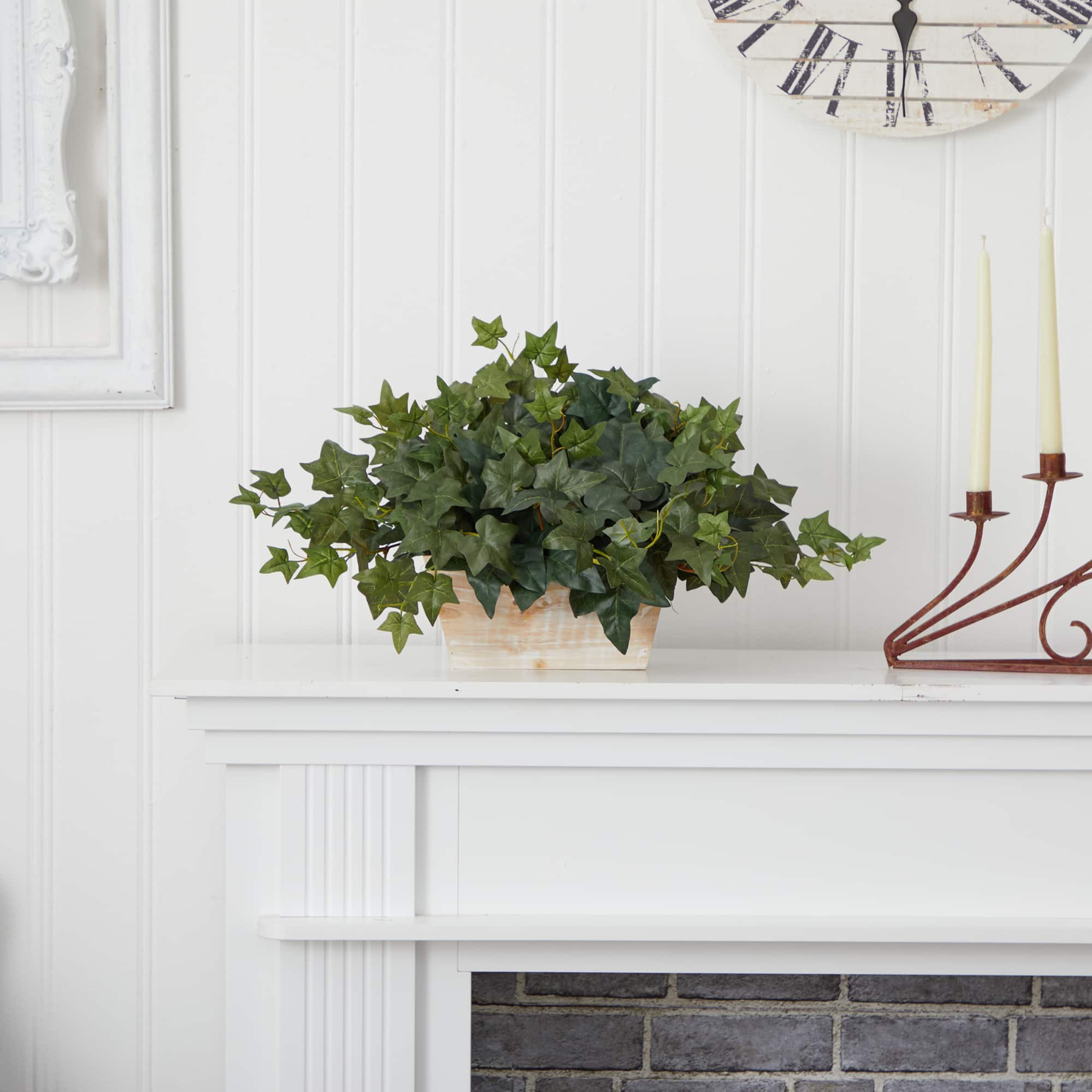 14" Ivy in White Planter