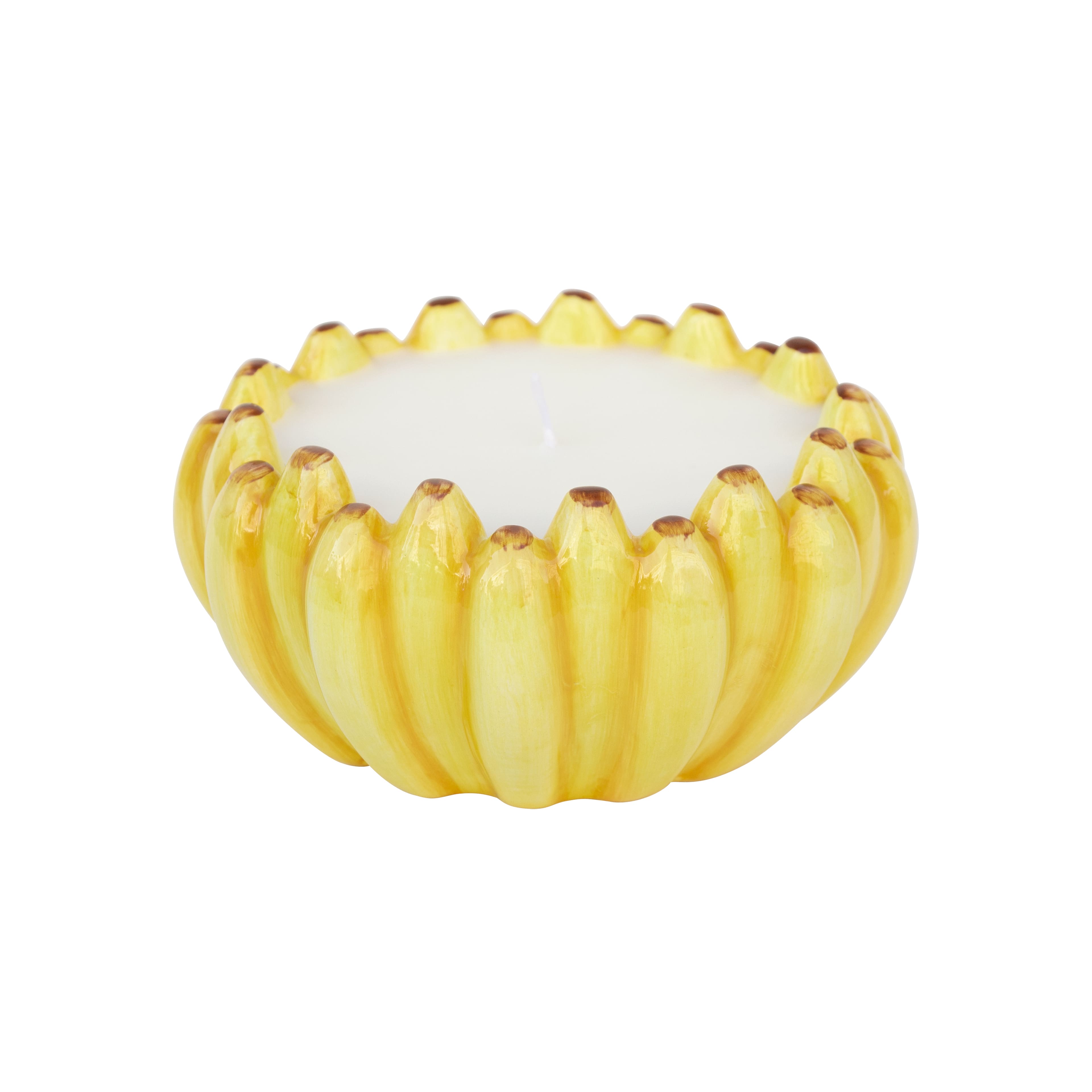 6oz. Citronella, Lemon & Thyme Scented Candle by Ashland®
