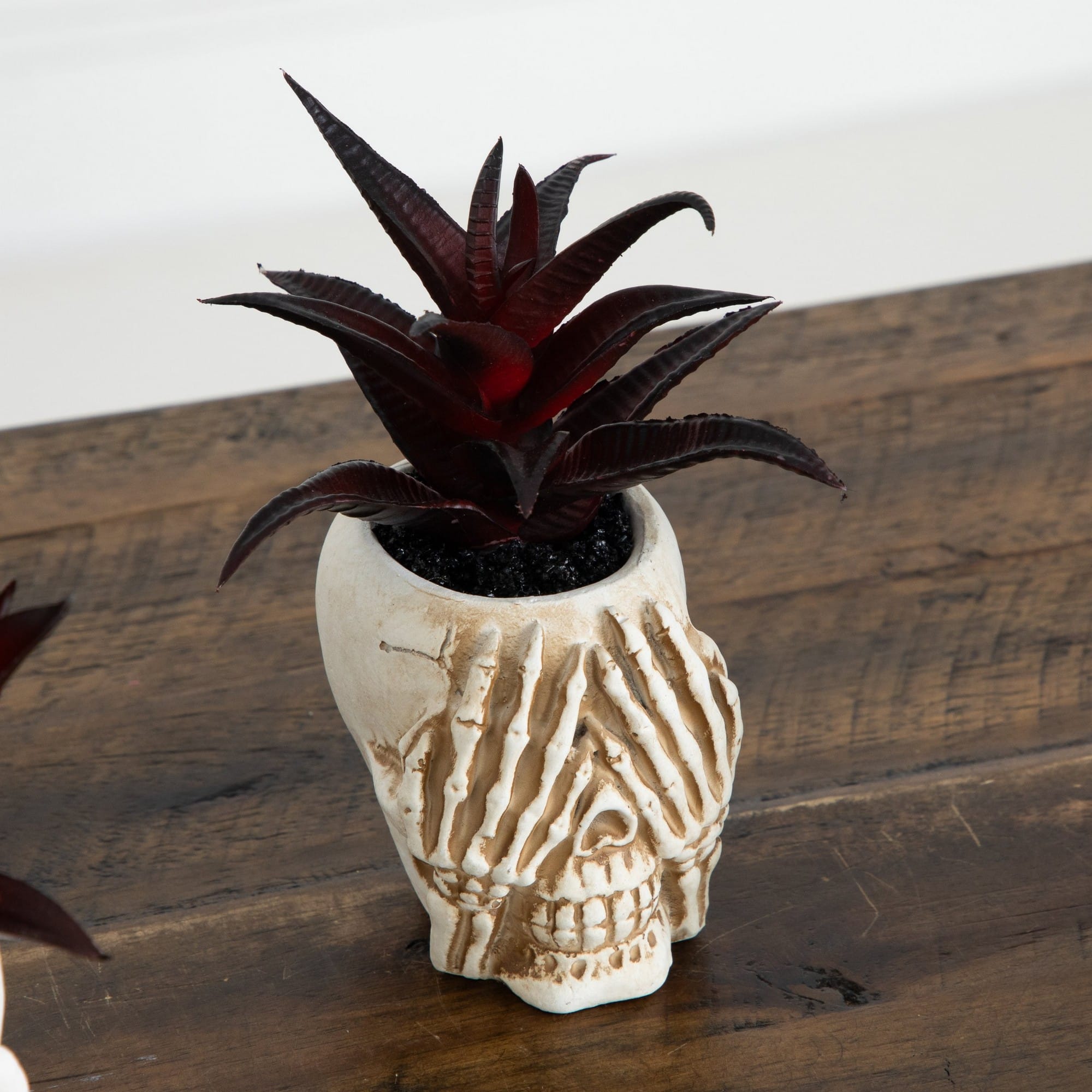 6" Artificial Halloween Speak, Hear, See No Evil Succulent Plant Skull Décor Set