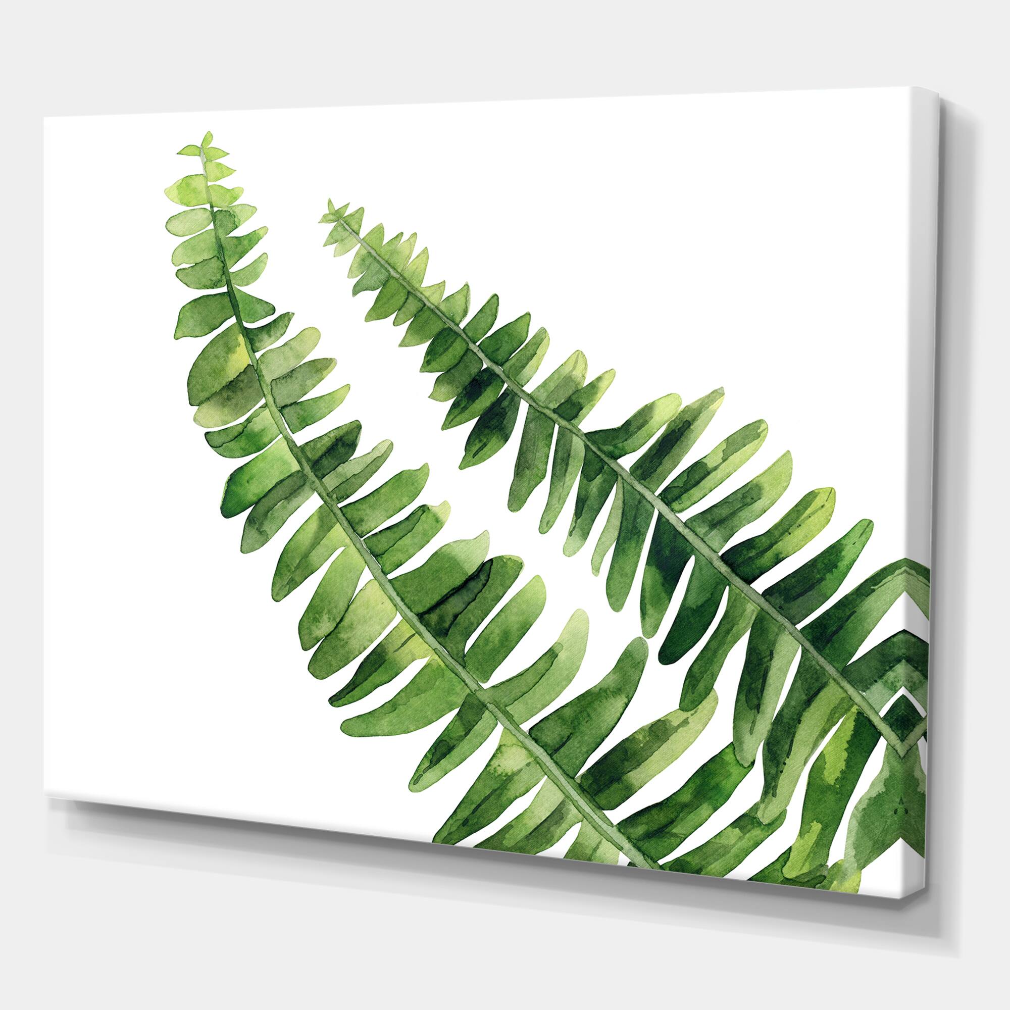 Designart - Fern Leaves Detail I - Farmhouse Canvas Wall Art Print