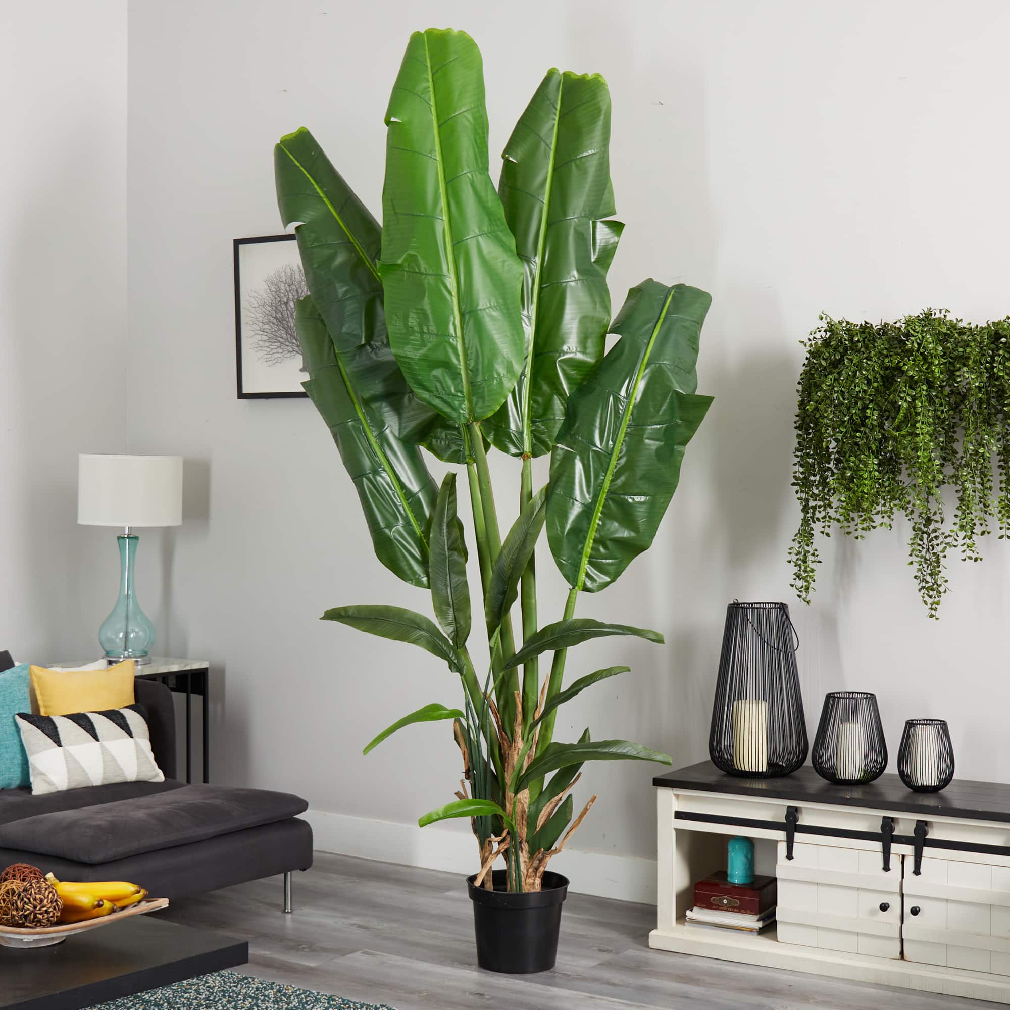 8.5ft. Potted Giant Travelers Palm Tree