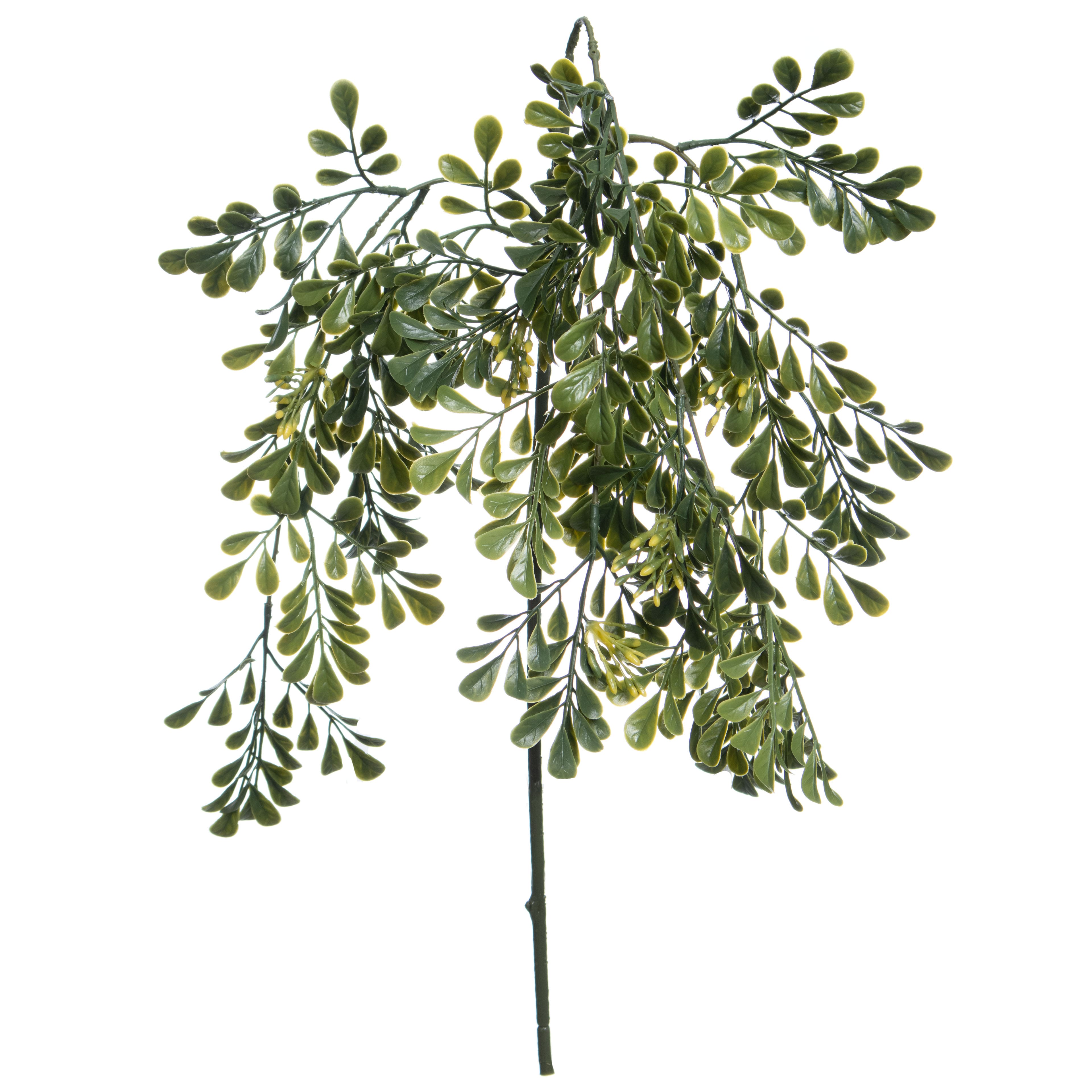 31" Hanging Seeded Boxwood Stem by Ashland®