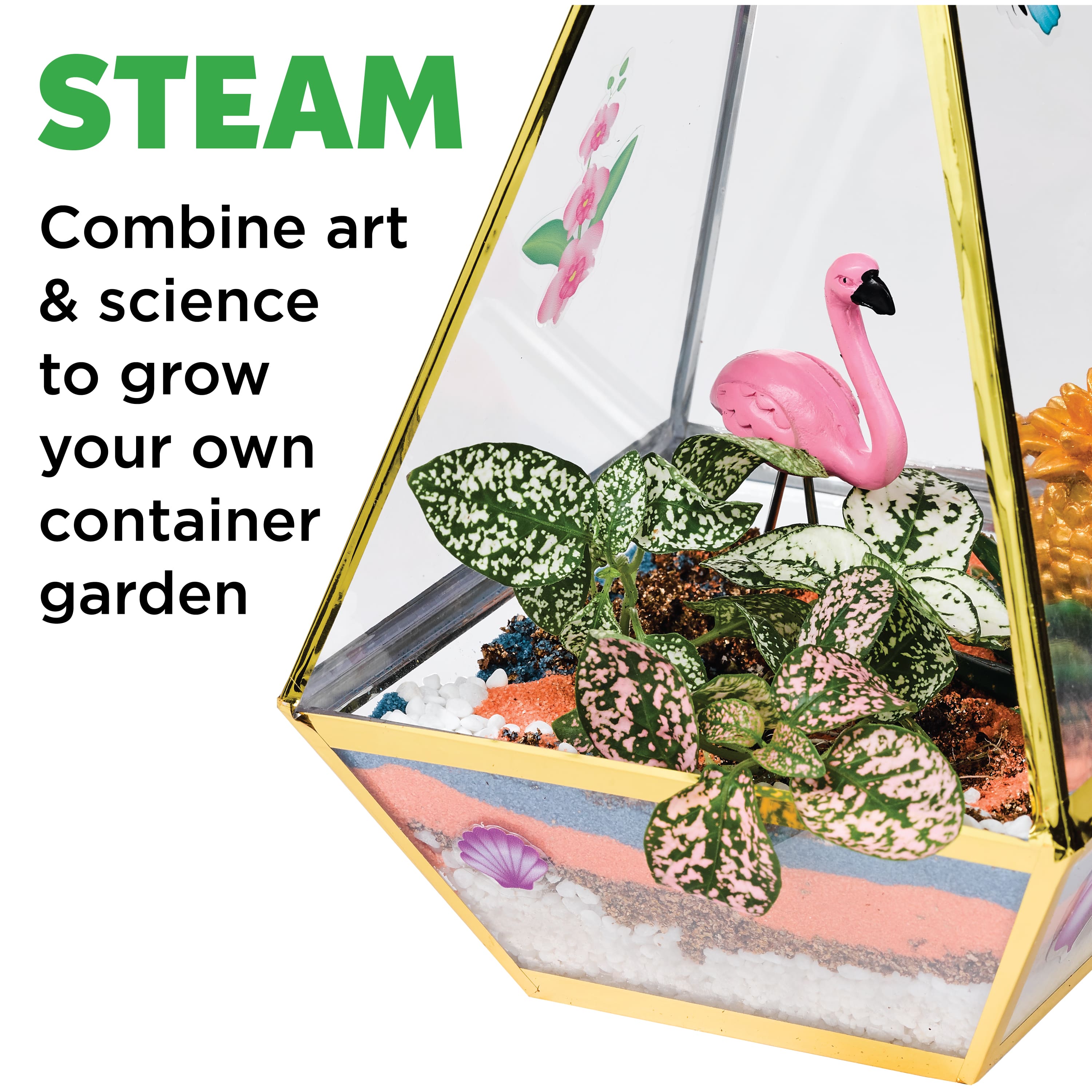 Faber-Castell Craftivity Tropical Terrarium