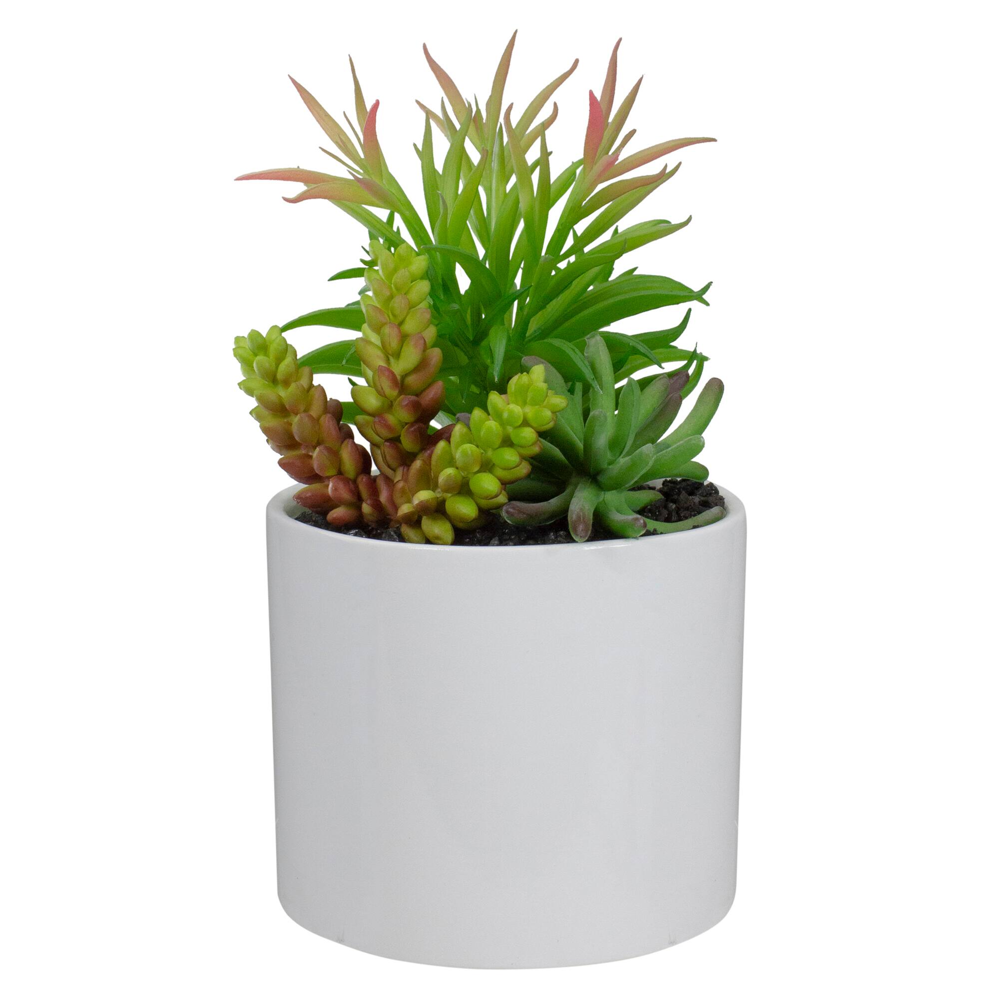 9" Succulent Arrangement in White Ceramic Pot