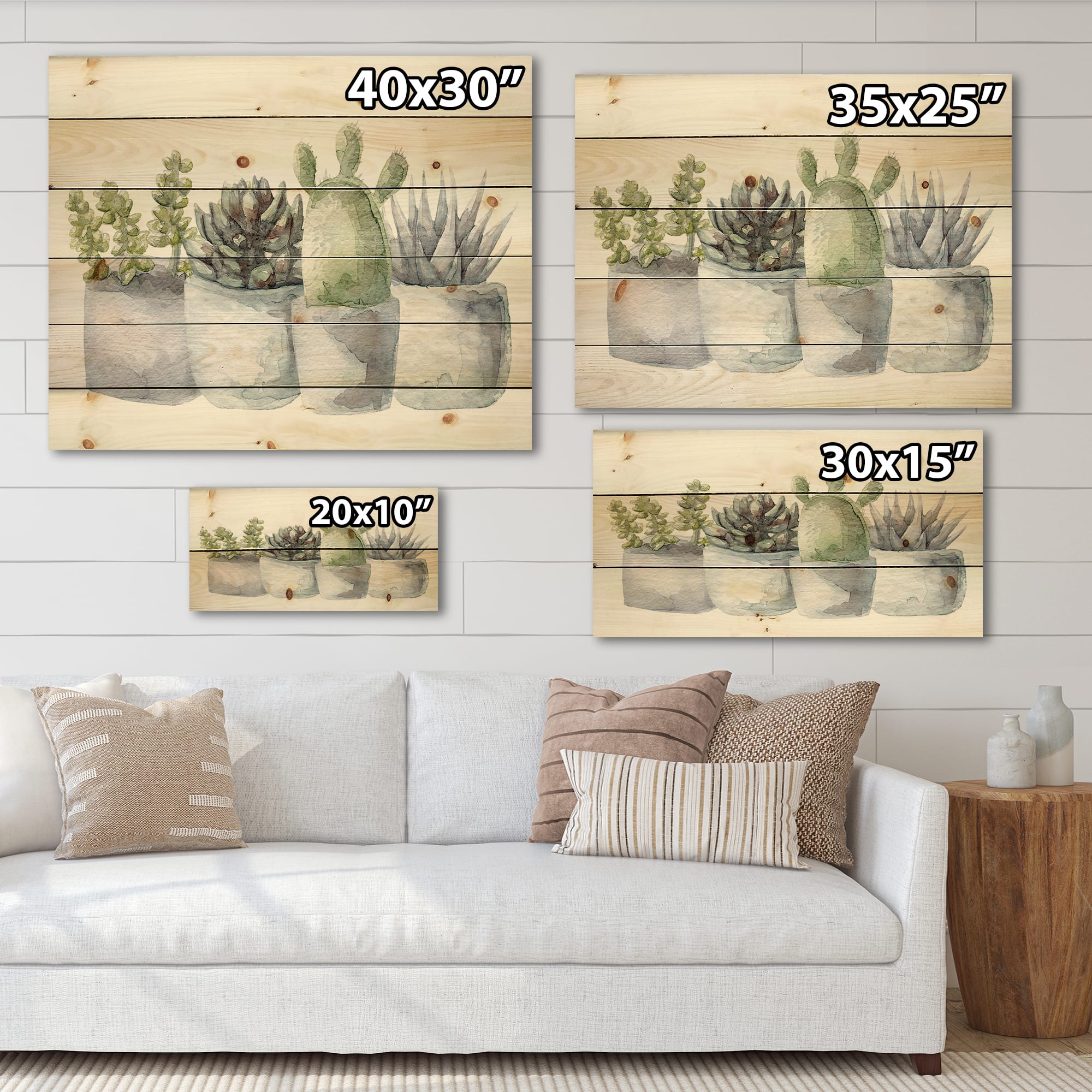 Designart - Cactus and Succulent House Plants I - Botanical Print on Natural Pine Wood