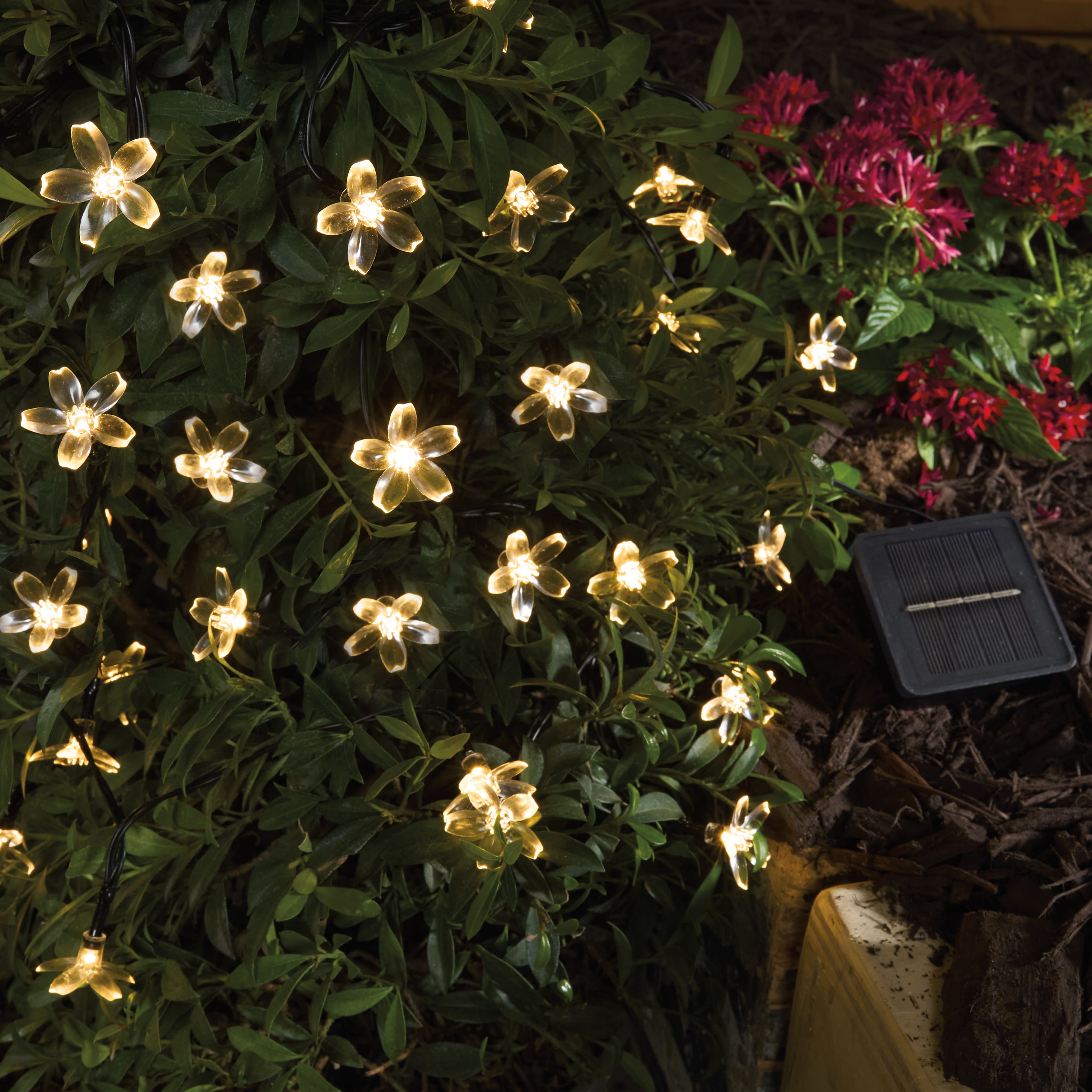 50ct. White Flowers LED Solar String Lights by Ashland®