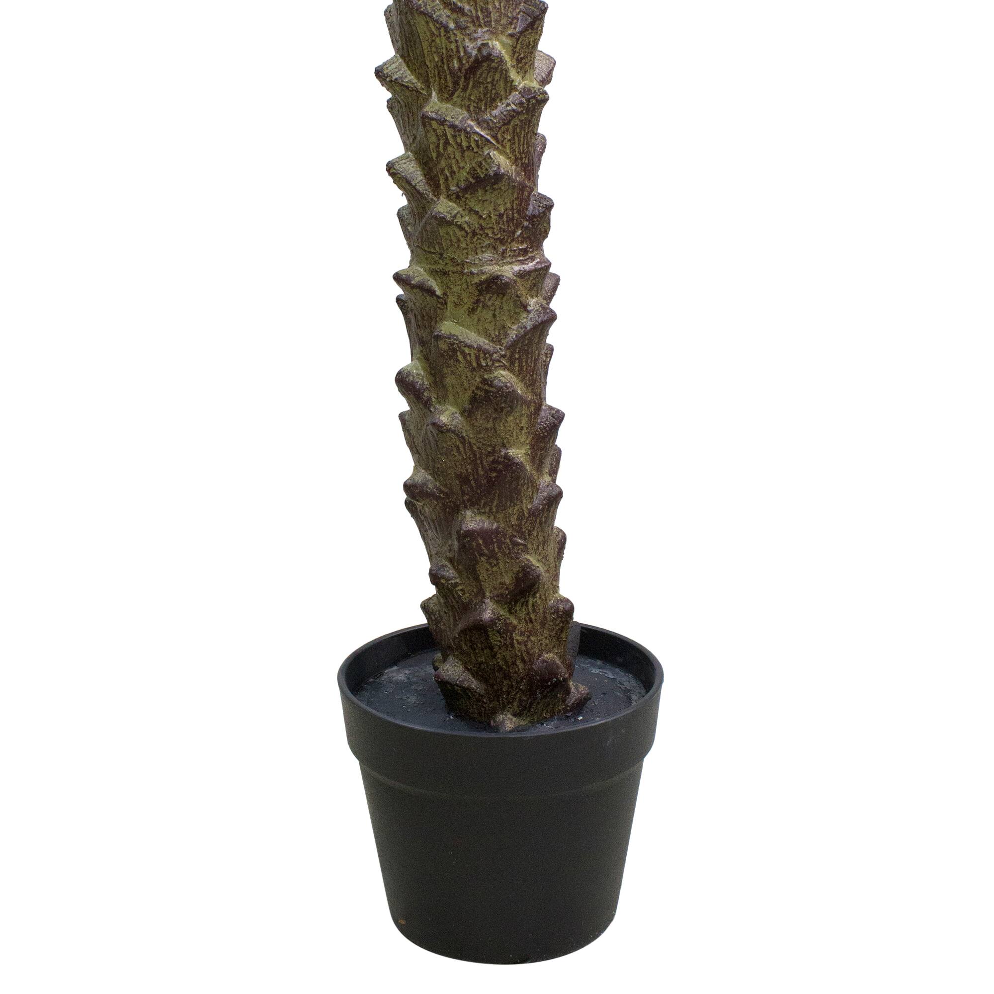 7.25ft. Potted Green & Brown Phoenix Palm Tree