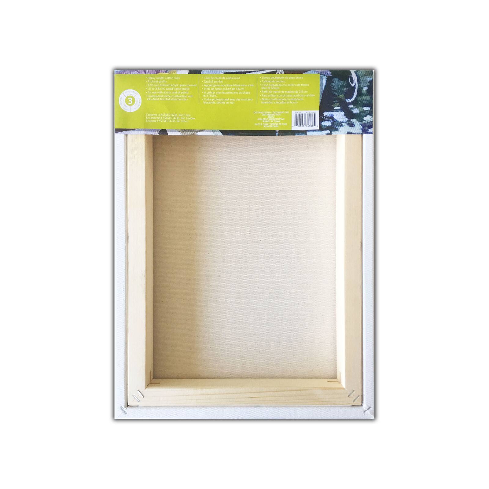 Level 3 Gallery Wrapped Heavy Duty Canvas by Artist's Loft®