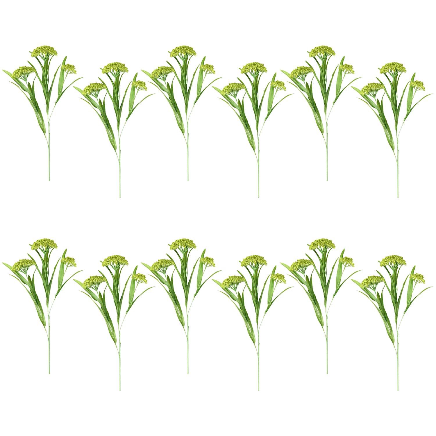 12 Pack: Green Queen Anne's Lace Spray by Ashland®
