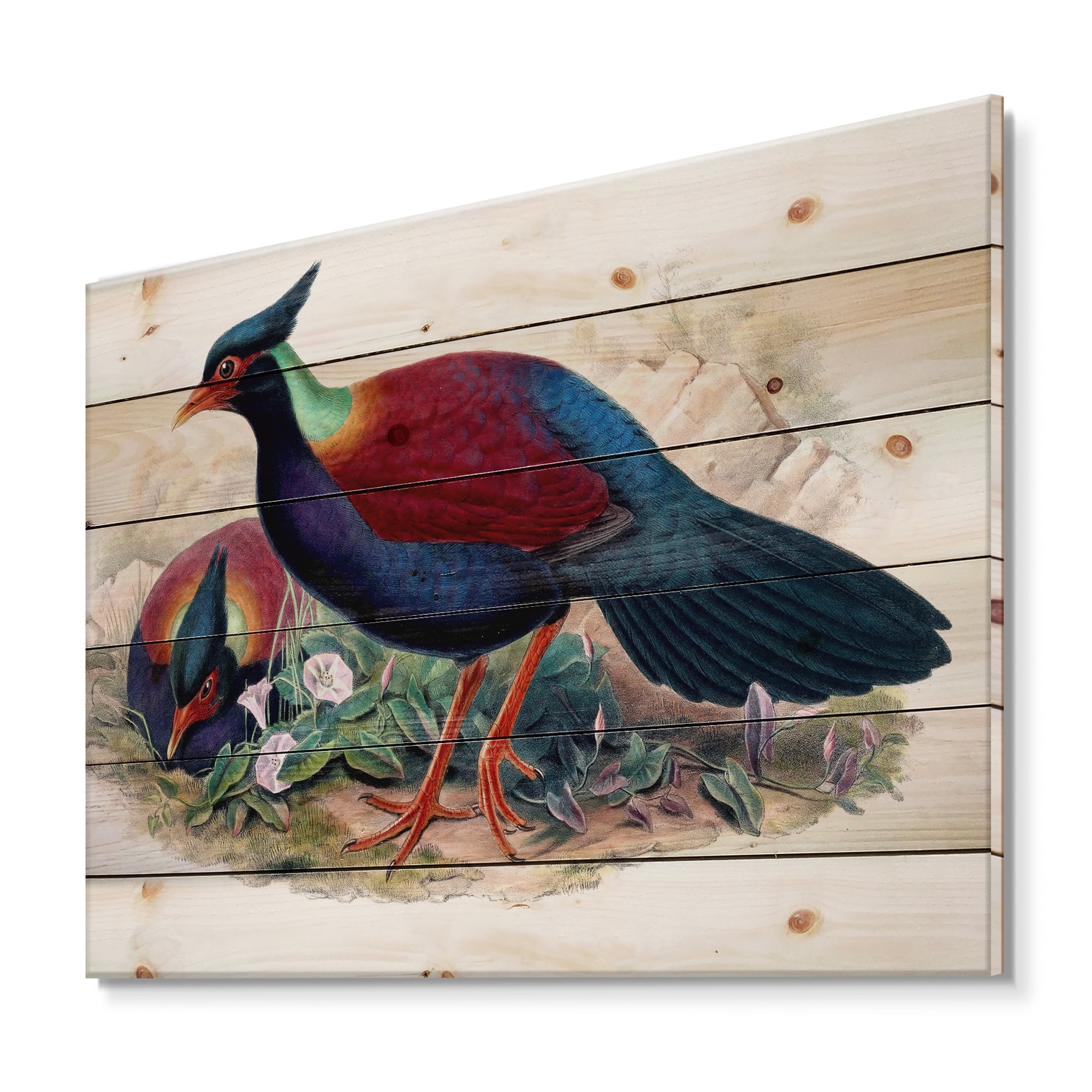 Designart - Vintage Birds In The Wild II - Traditional Print on Natural Pine Wood