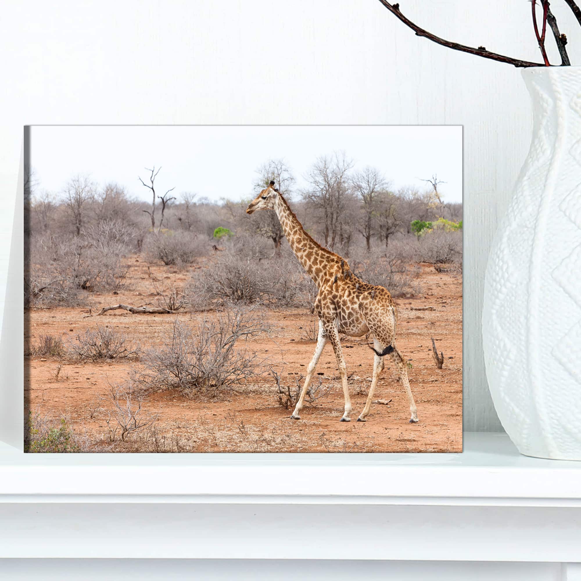 Designart - Giraffe Walking through African Forest - Animal Canvas Art Print
