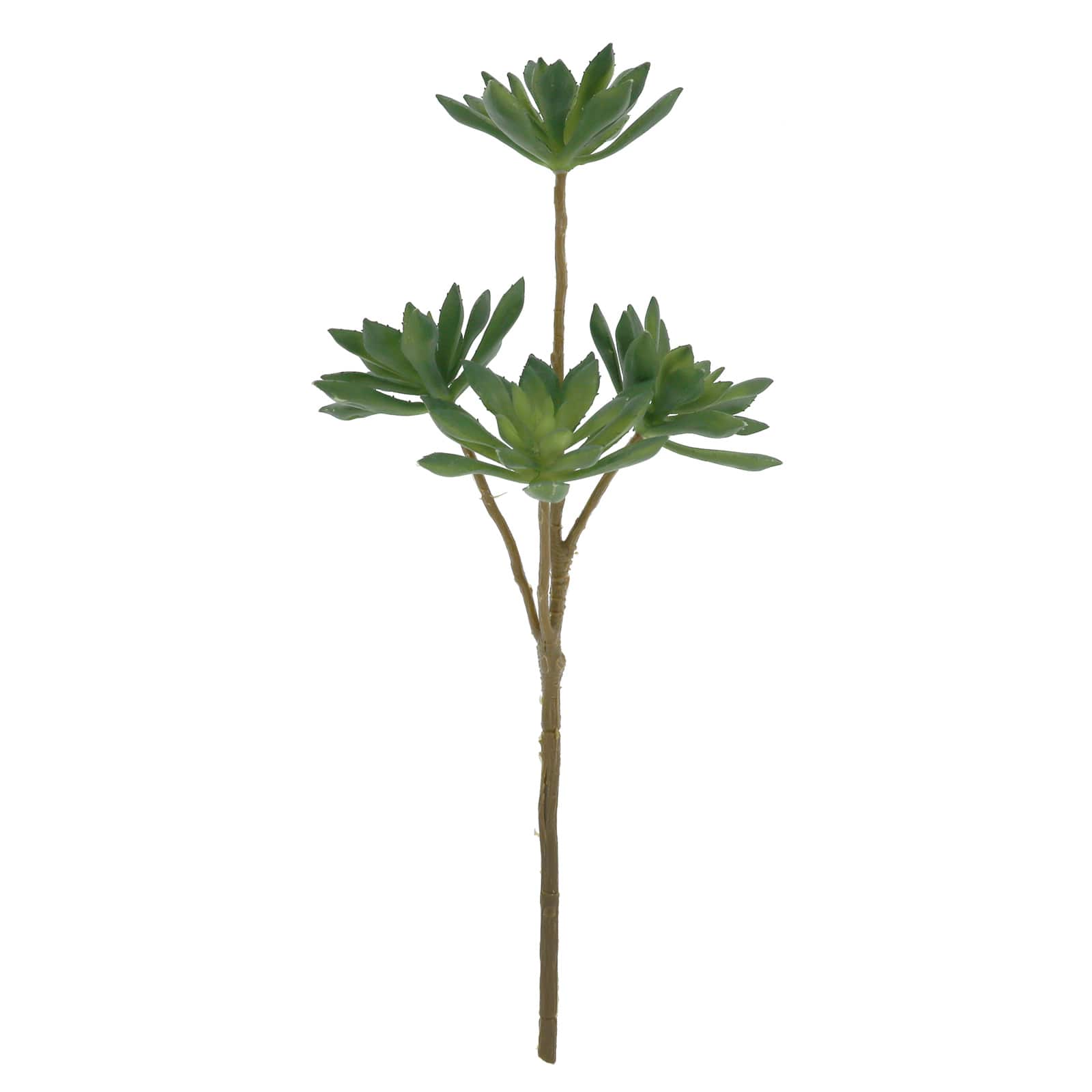13.5" Green Echeveria Pick by Ashland®
