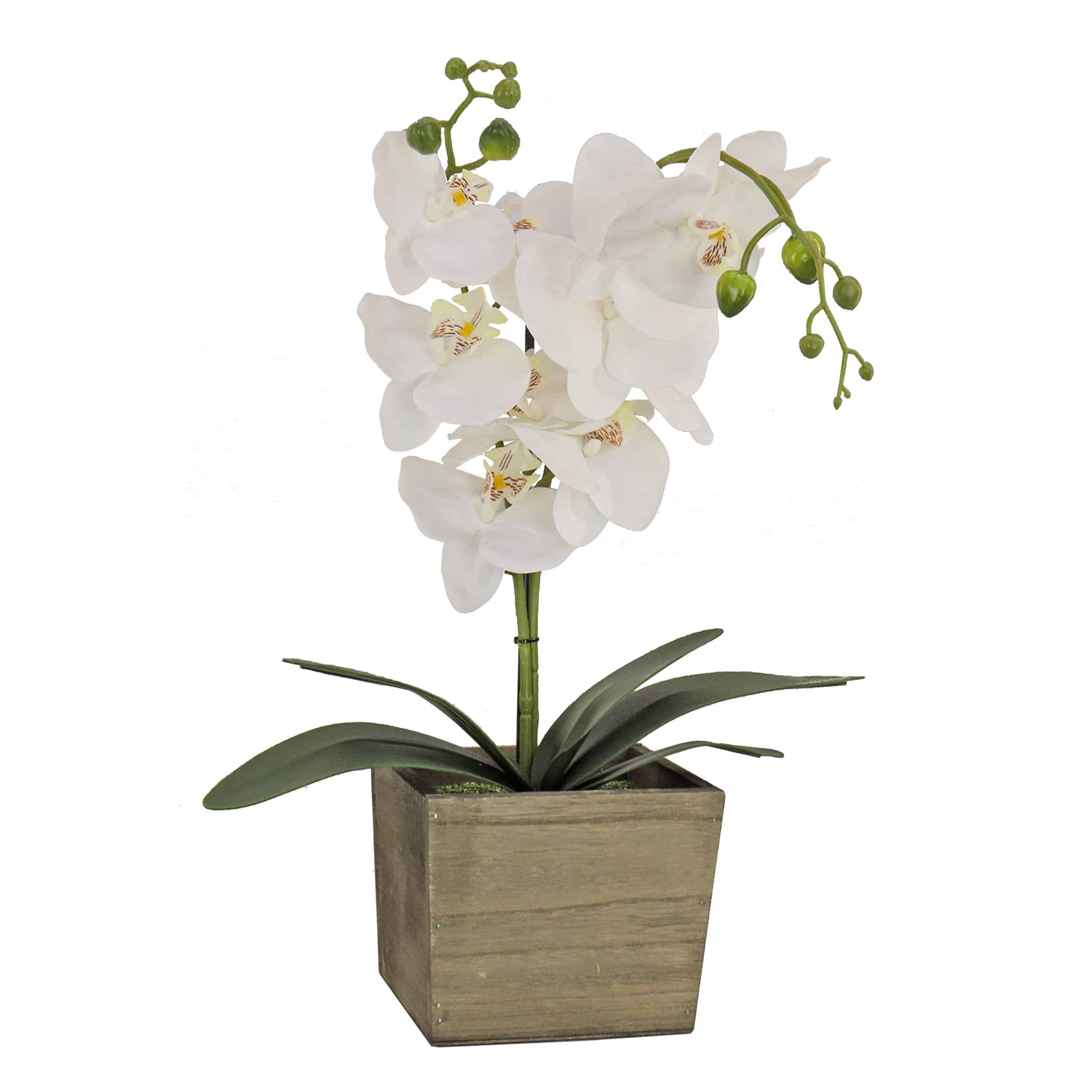 21" Orchid Flower In Wood Box
