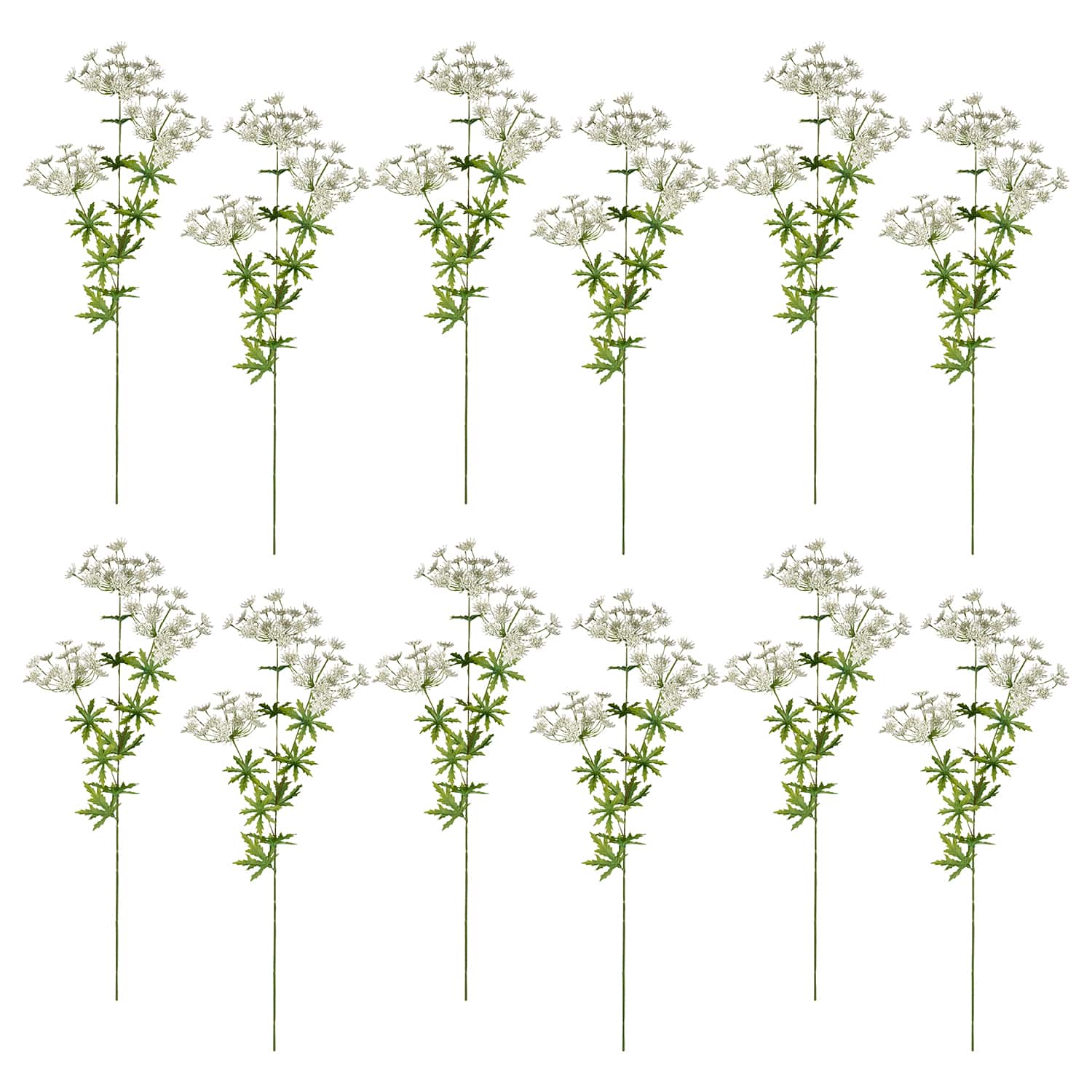 12 Pack: White Queen Anne's Lace Spray by Ashland®