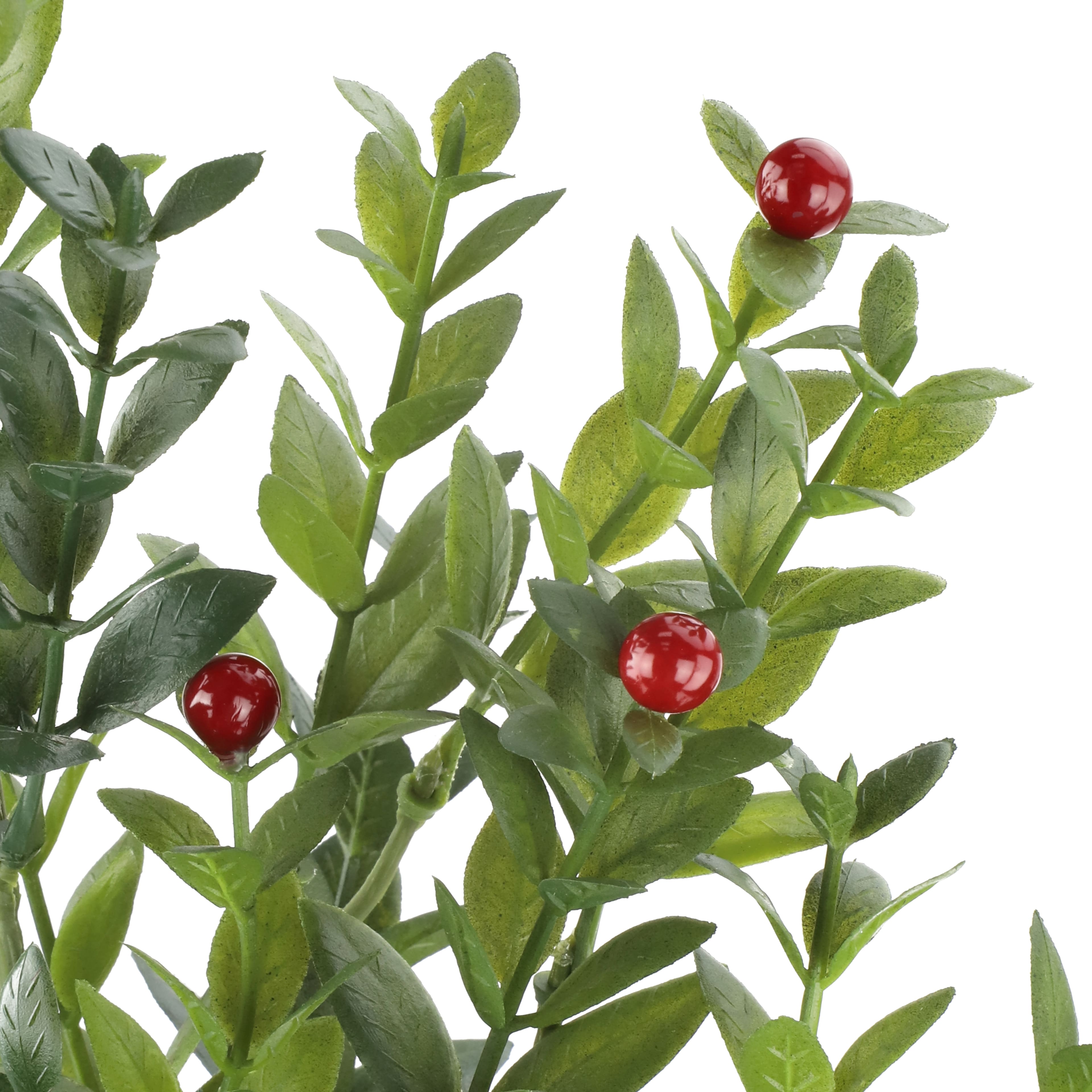 30" Boxwood & red Berry Stem by Ashland®
