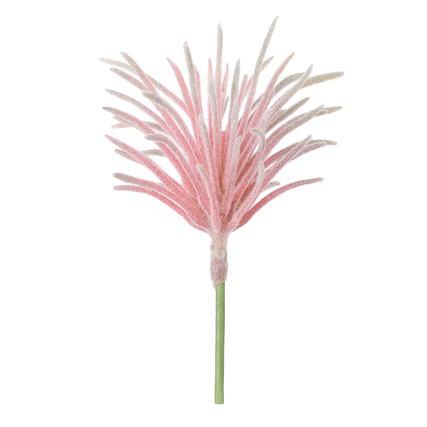 Succulent Mix by Ashland®