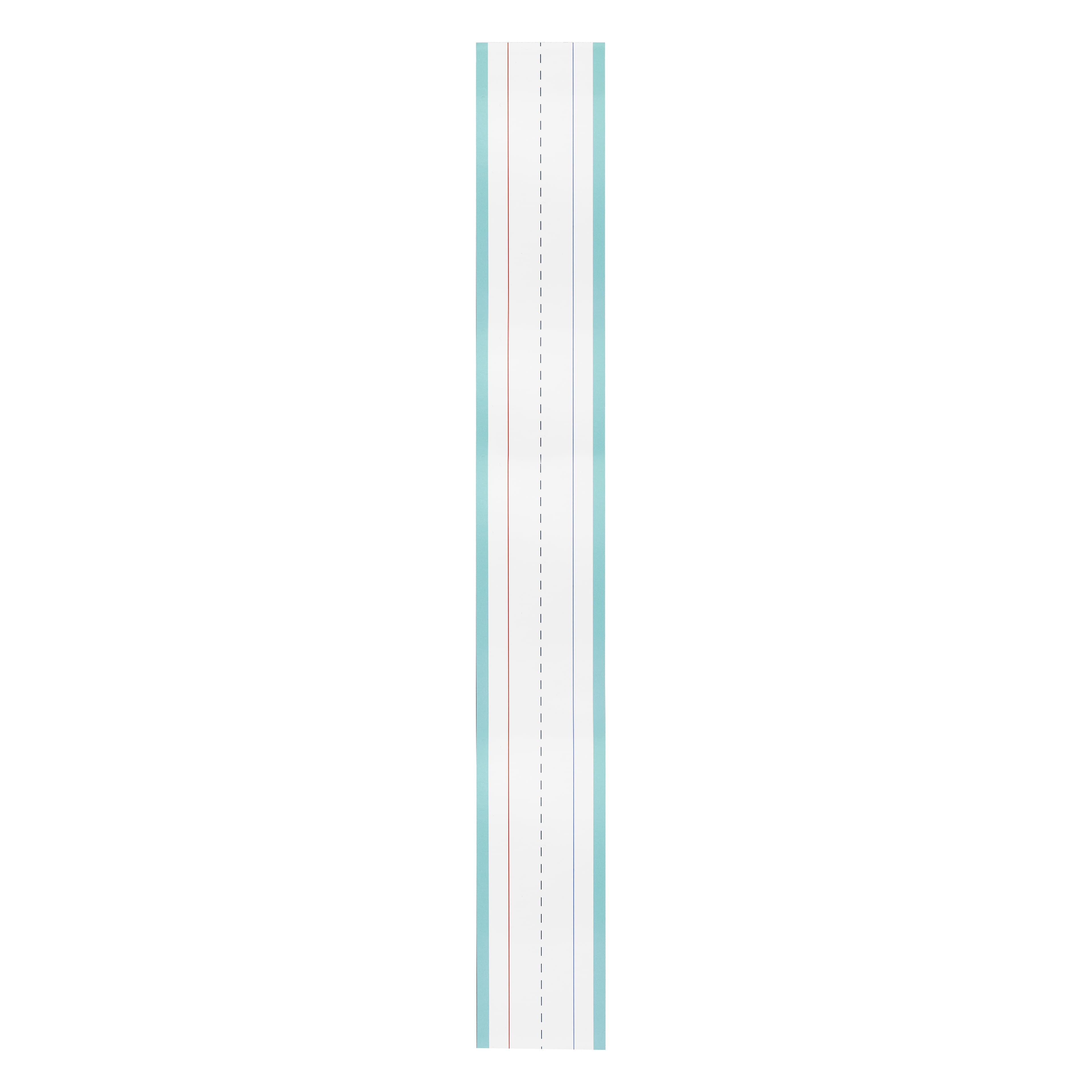 Class Rules! 23.5" Green & White Dry Erase Writing Strips, 10ct. by B2C™