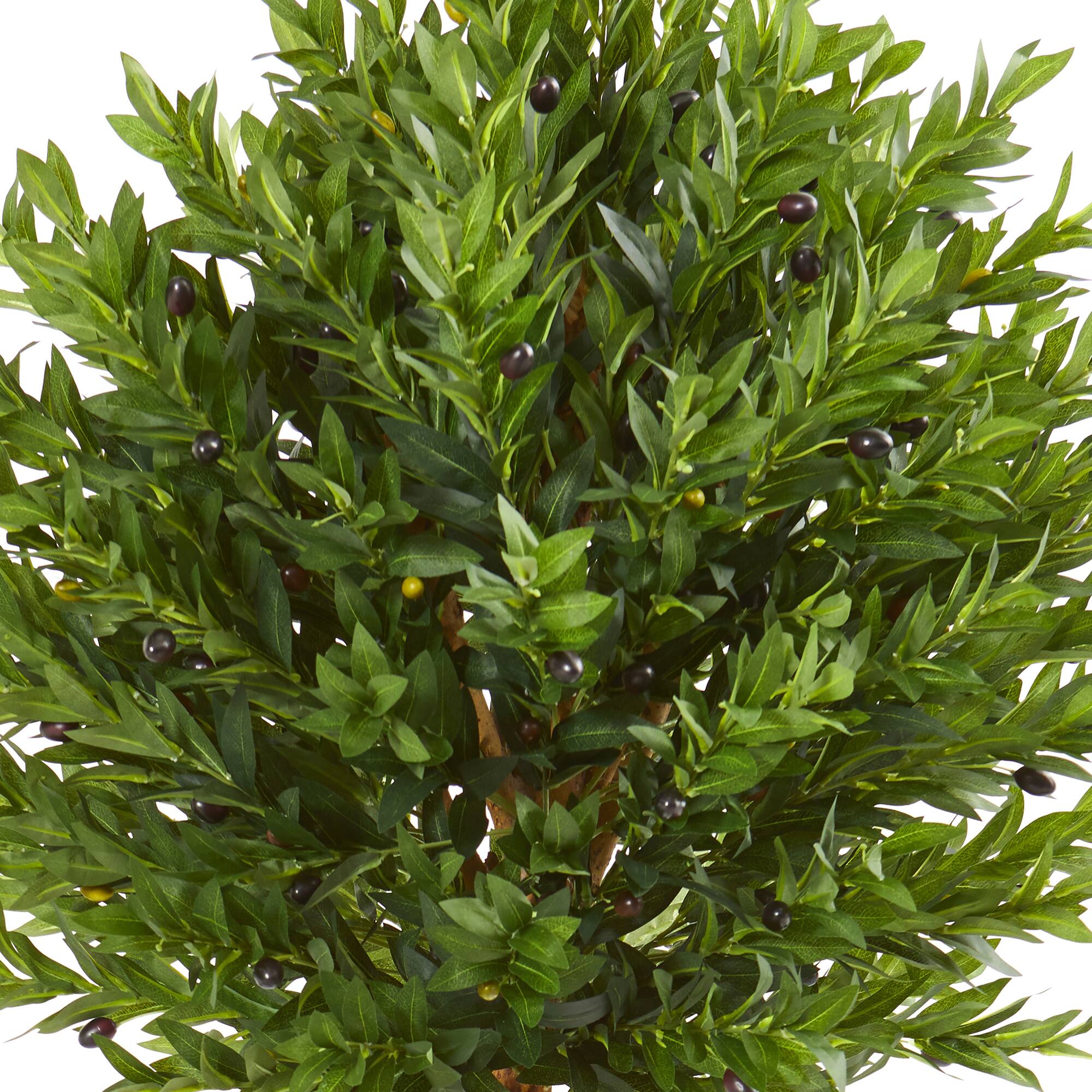 5.5ft. Potted Olive Topiary Tree