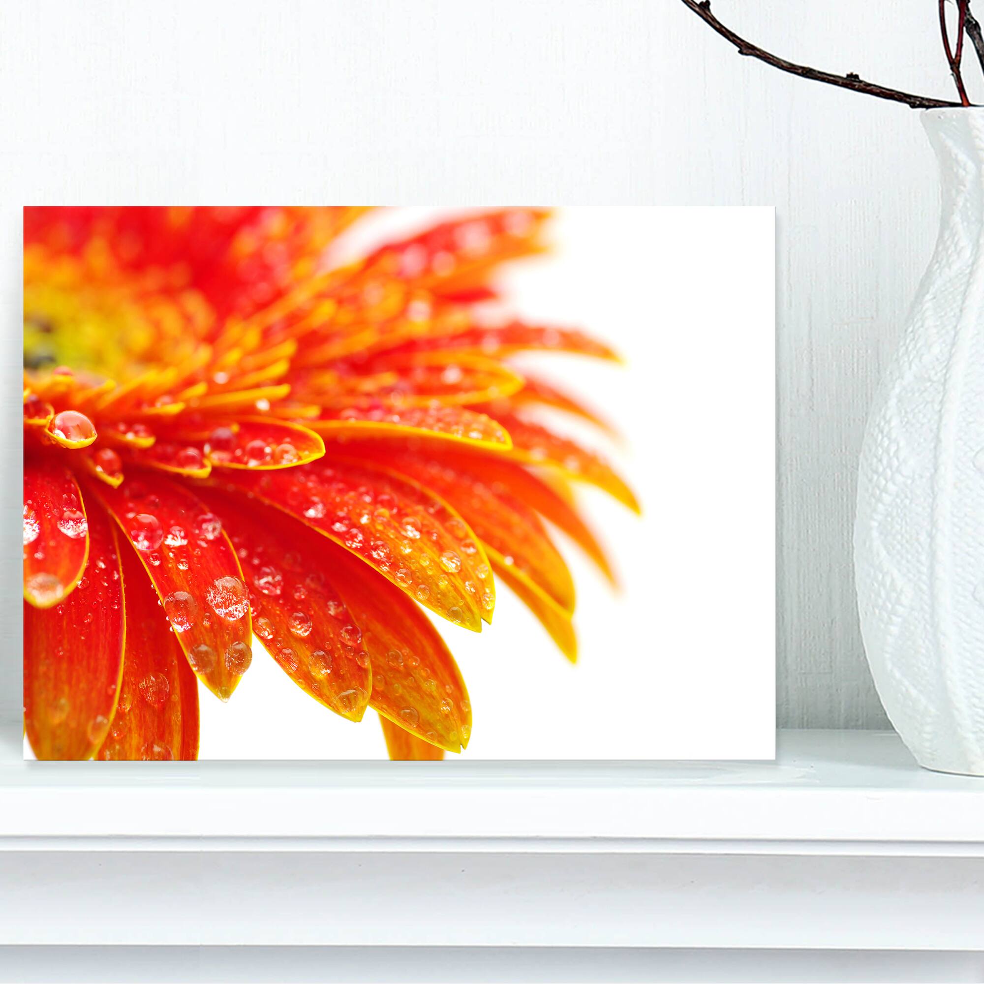 Designart - Orange Gerbera with Raindrops - Floral Canvas Art Print