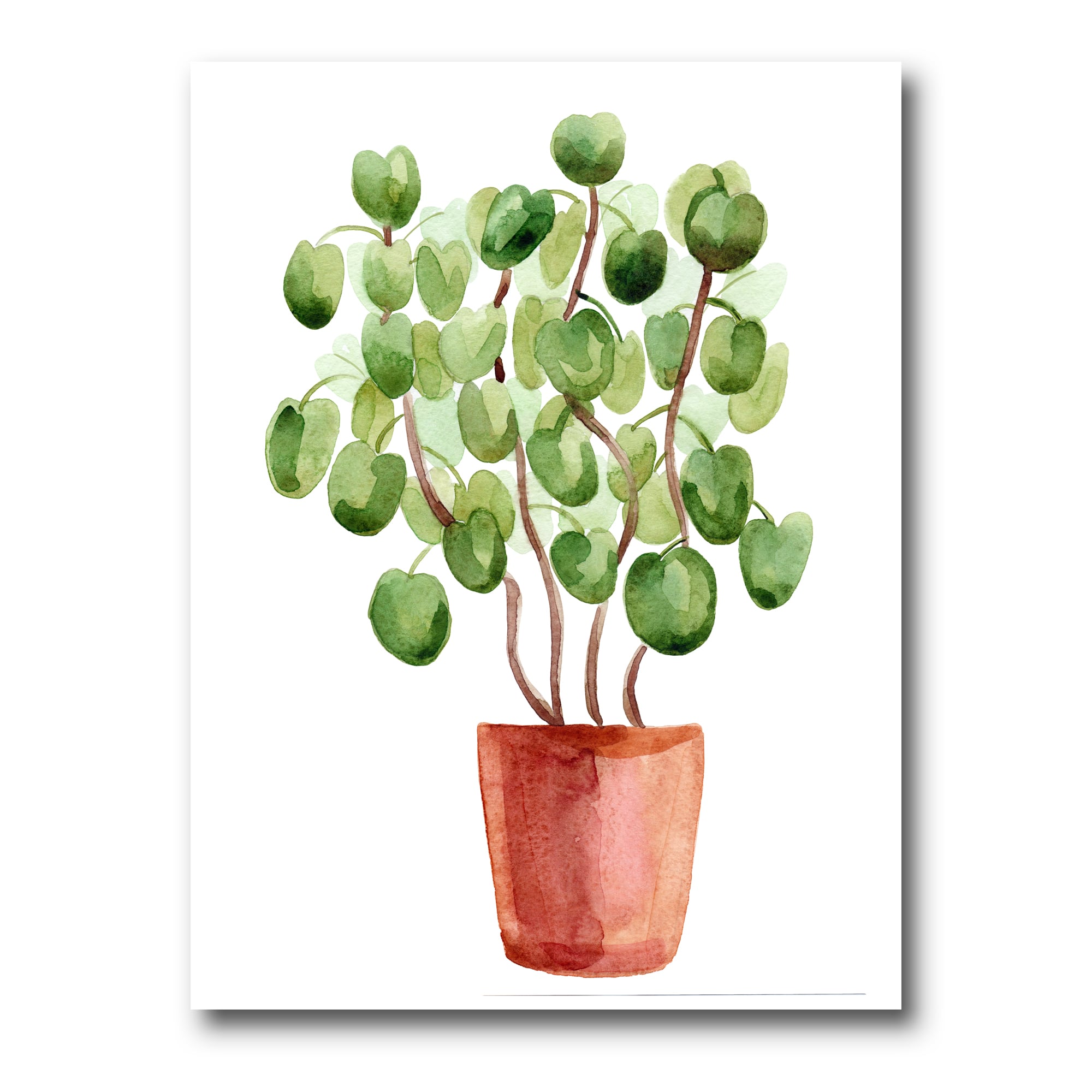 Designart - Chinese Money Plant In Pot - Traditional Canvas Wall Art Print