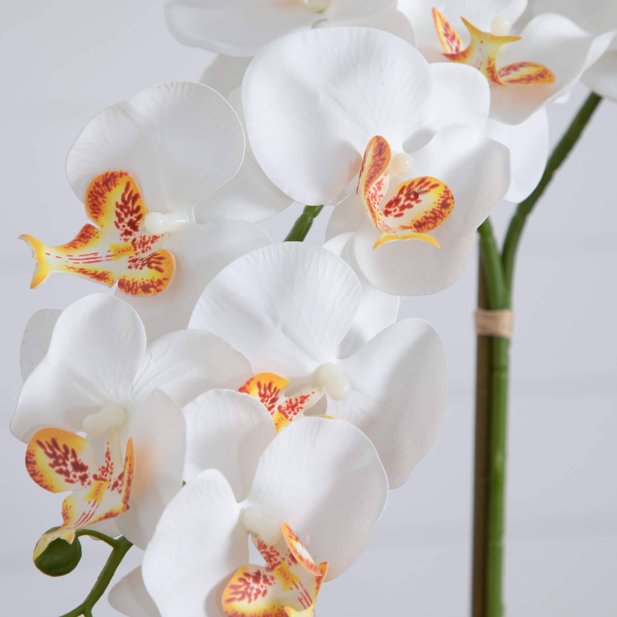 2ft. Artificial Double Orchid Arrangement in Handmade Mexican Talavera Ceramic Planter