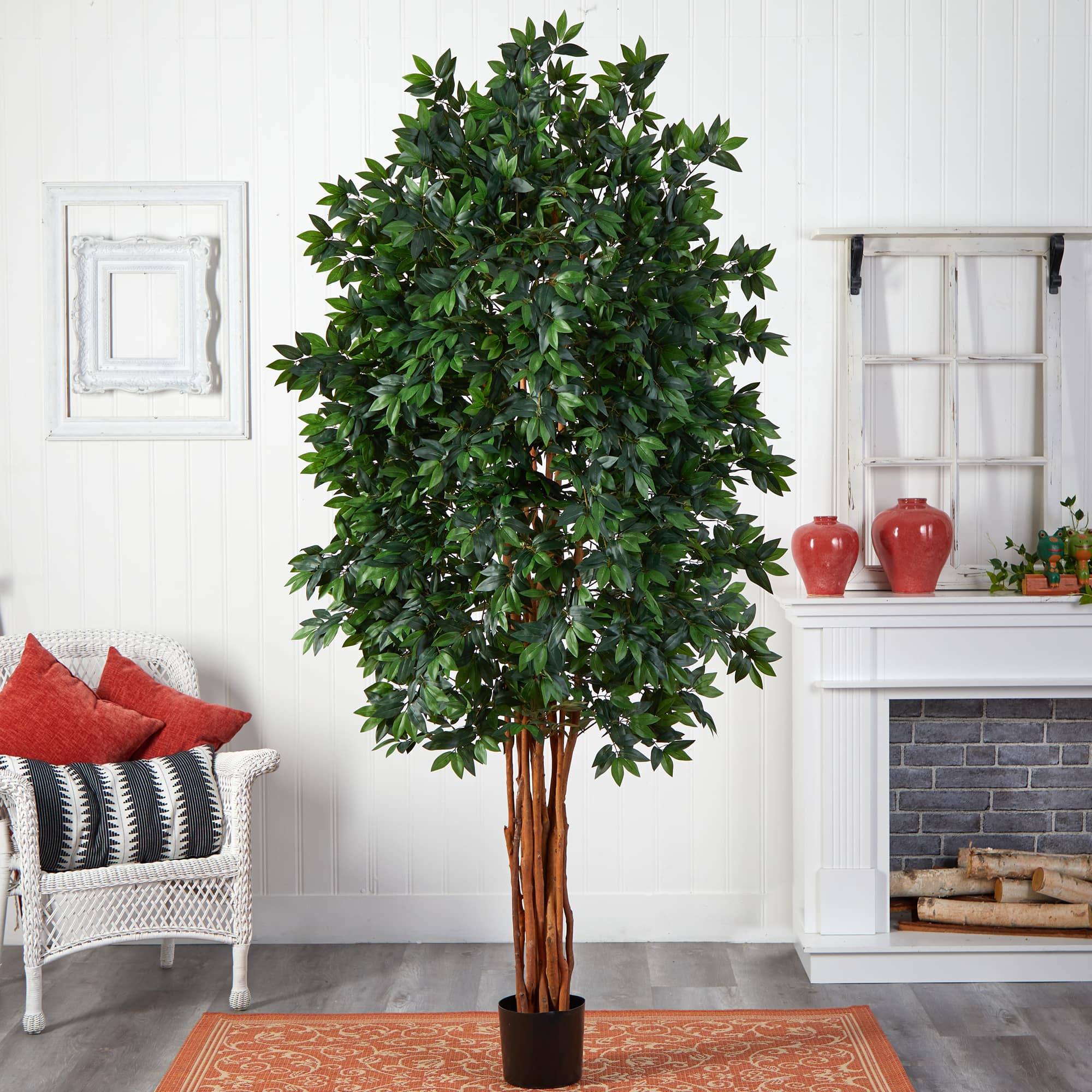 7.5ft. Potted Lychee Silk Tree