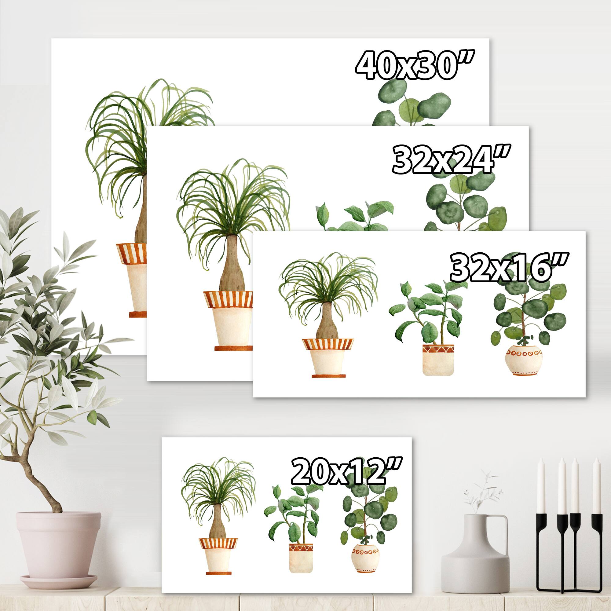Designart - Trio of House Plants Ponytail Palm and Ficus - Traditional Canvas Wall Art Print